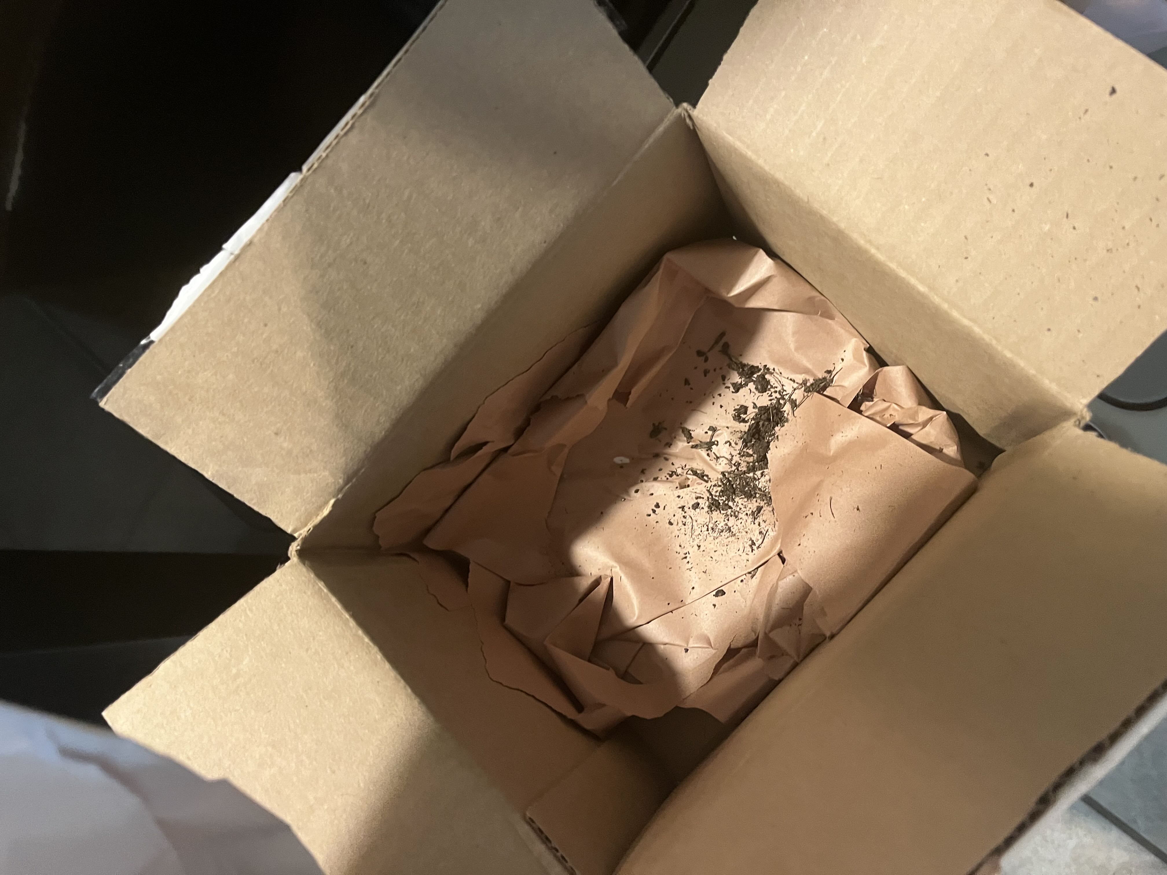Photo from the post