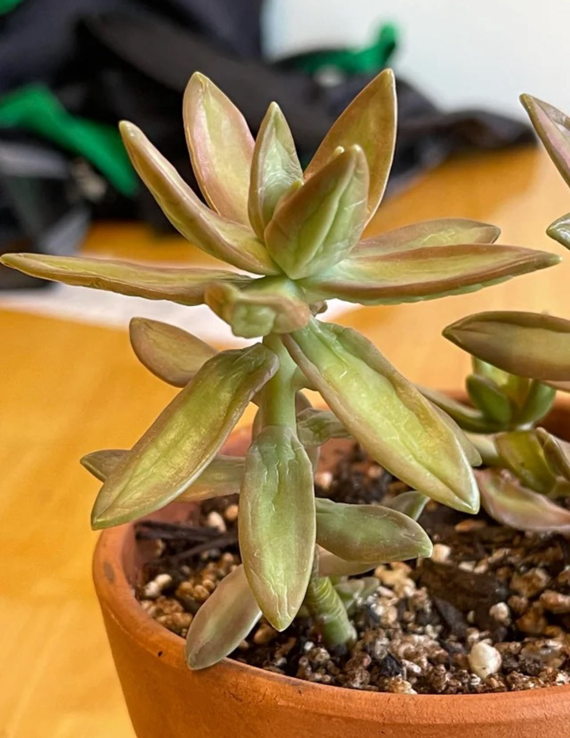 Photo from the post