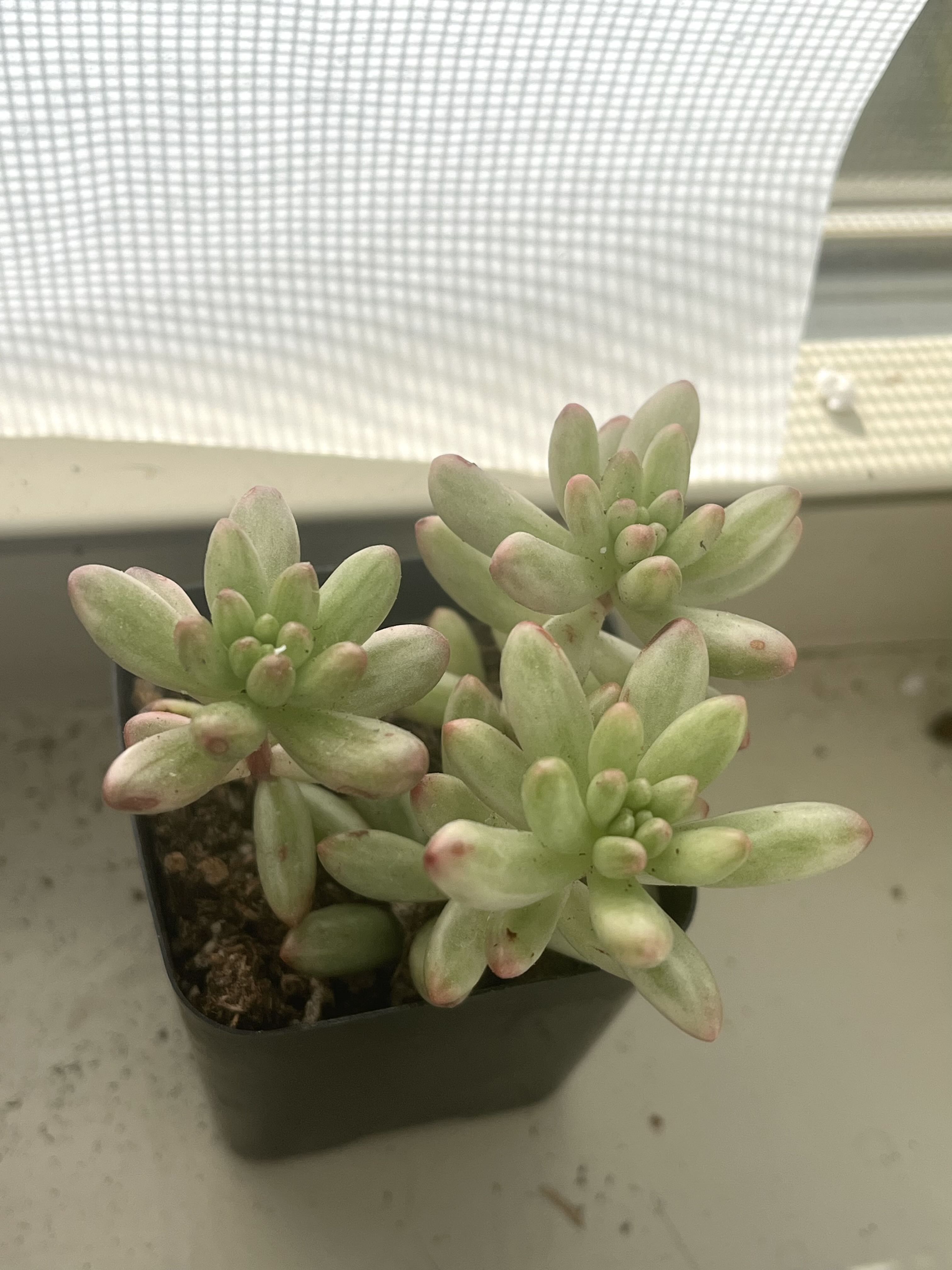 Photo from the post