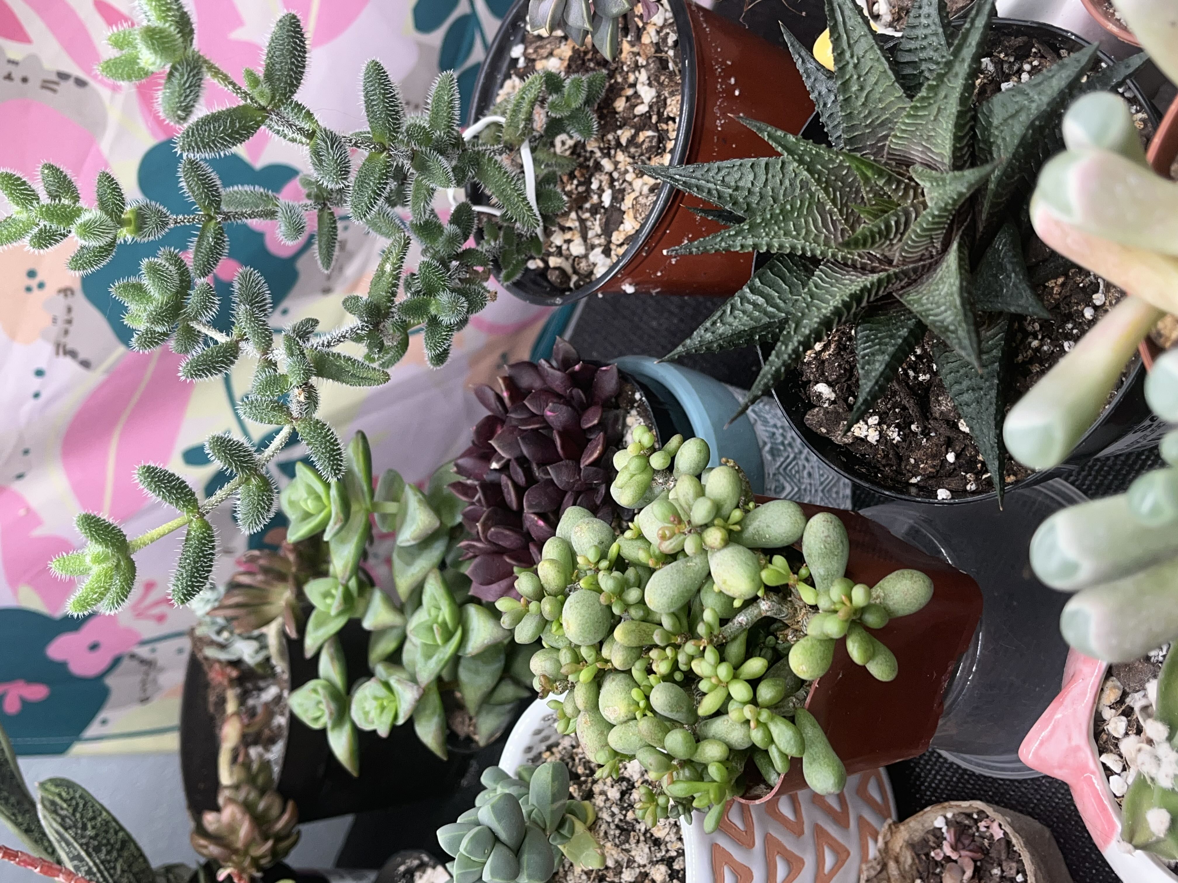 Photo from the post