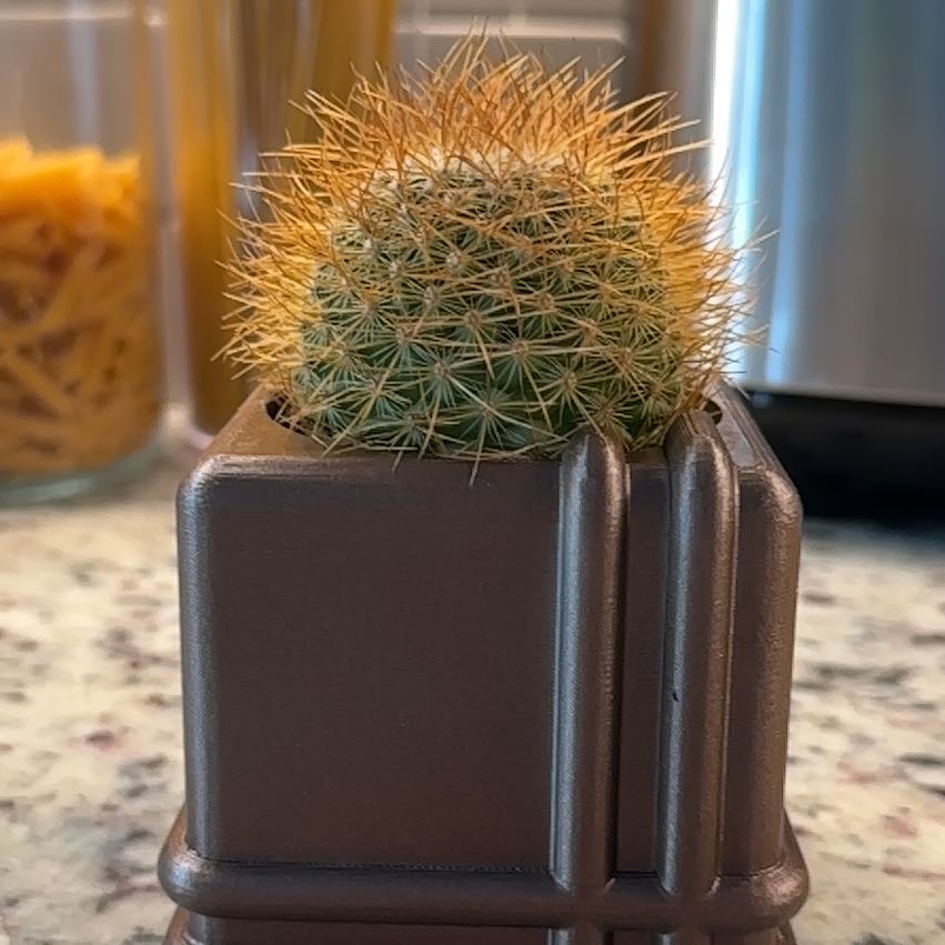 Photo of the plant species Mammillaria pringlei by @UnharmedIcarus named Pringle on Greg, the plant care app