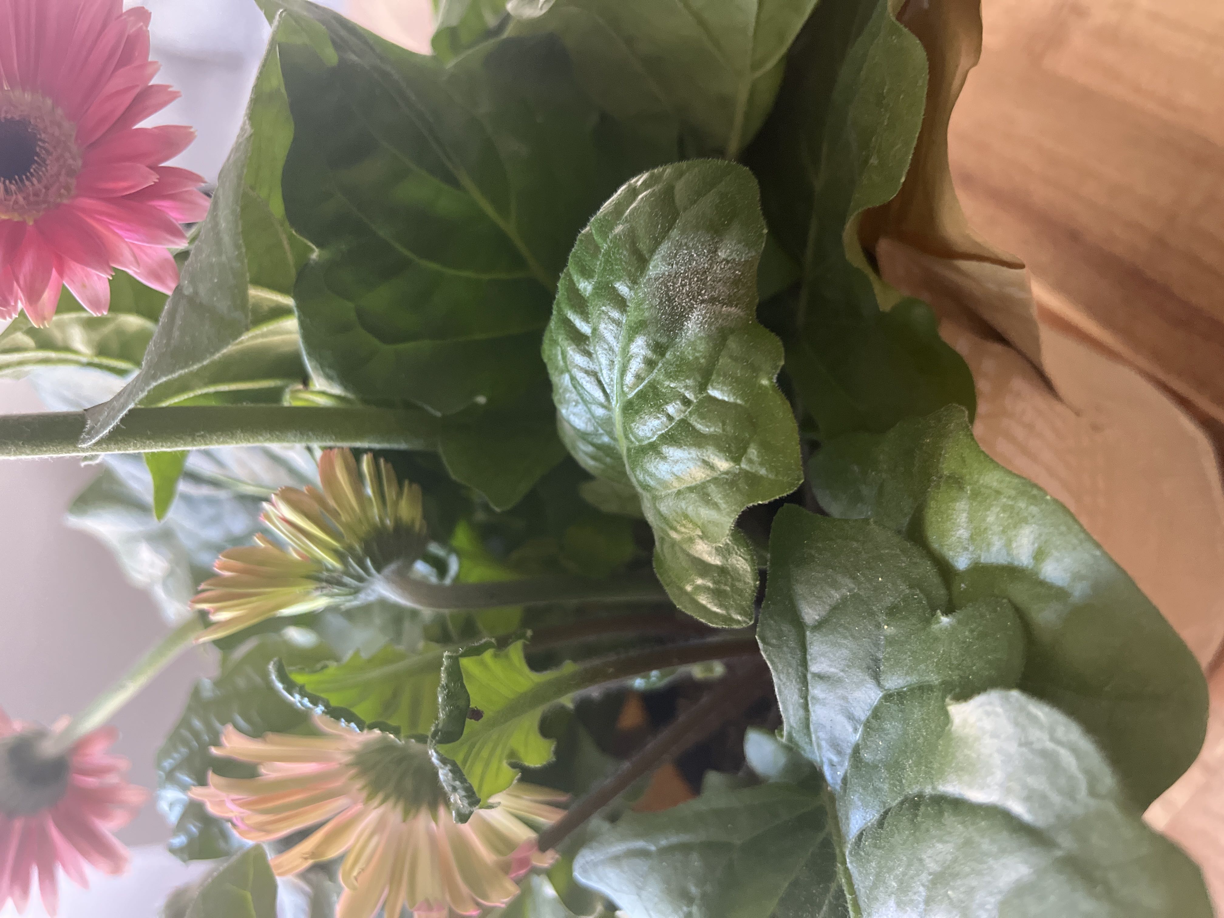 Photo from the post