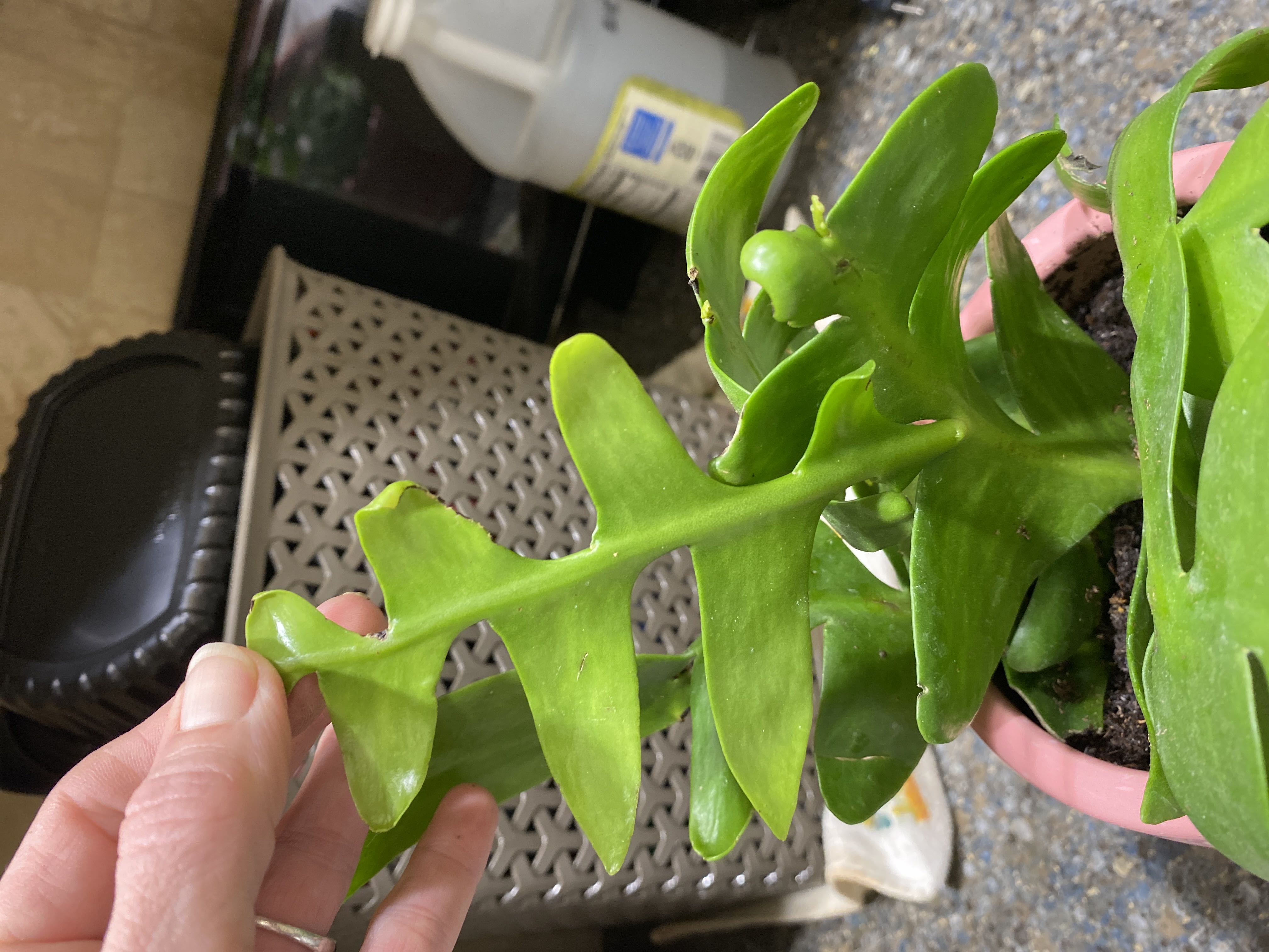 Photo from the post