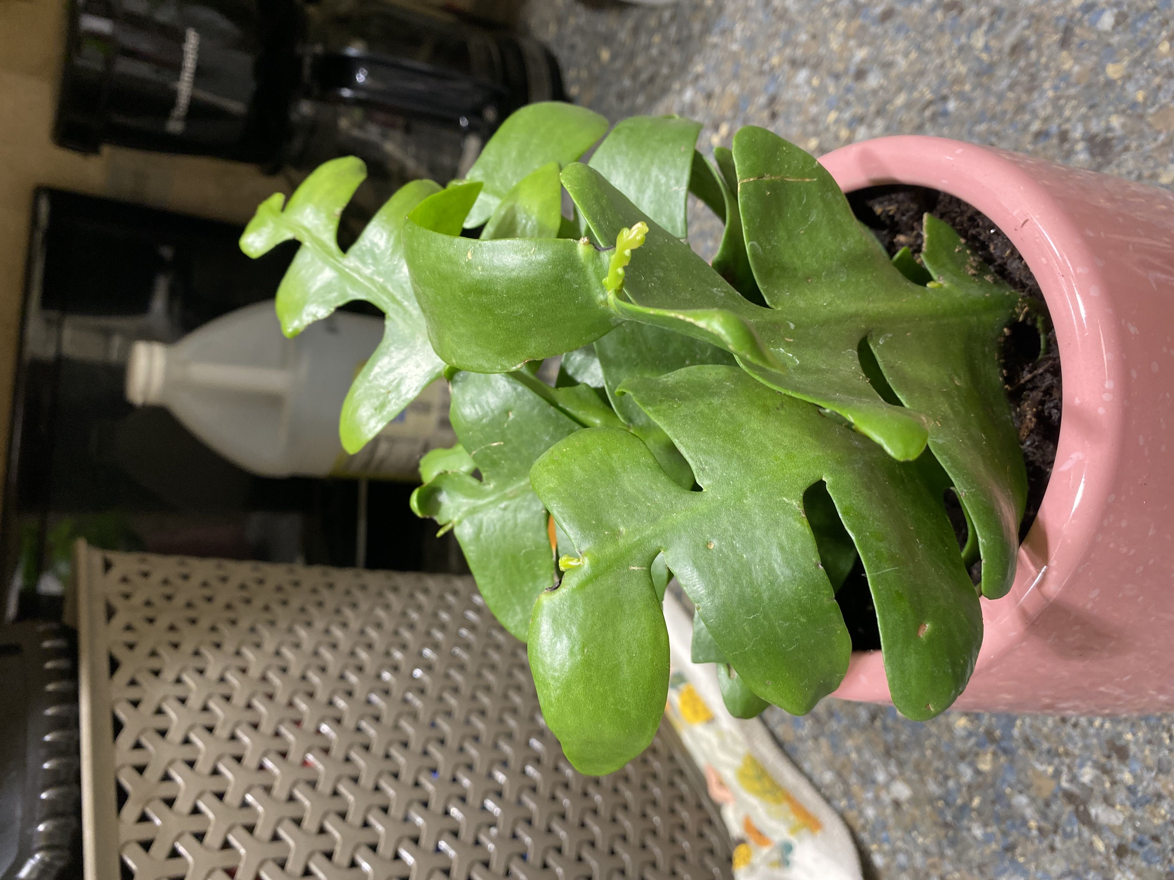 Photo from the post