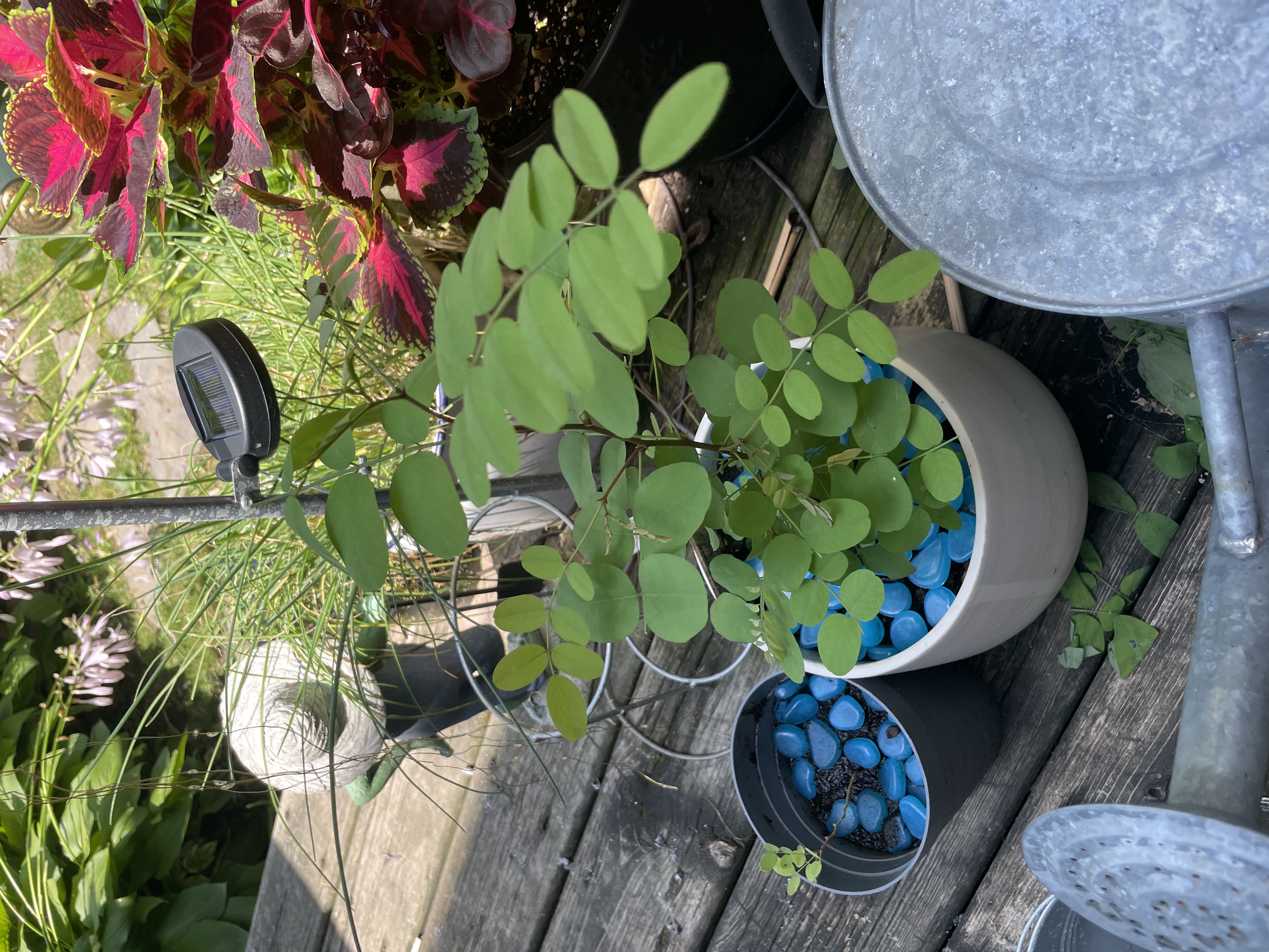 Photo from the post