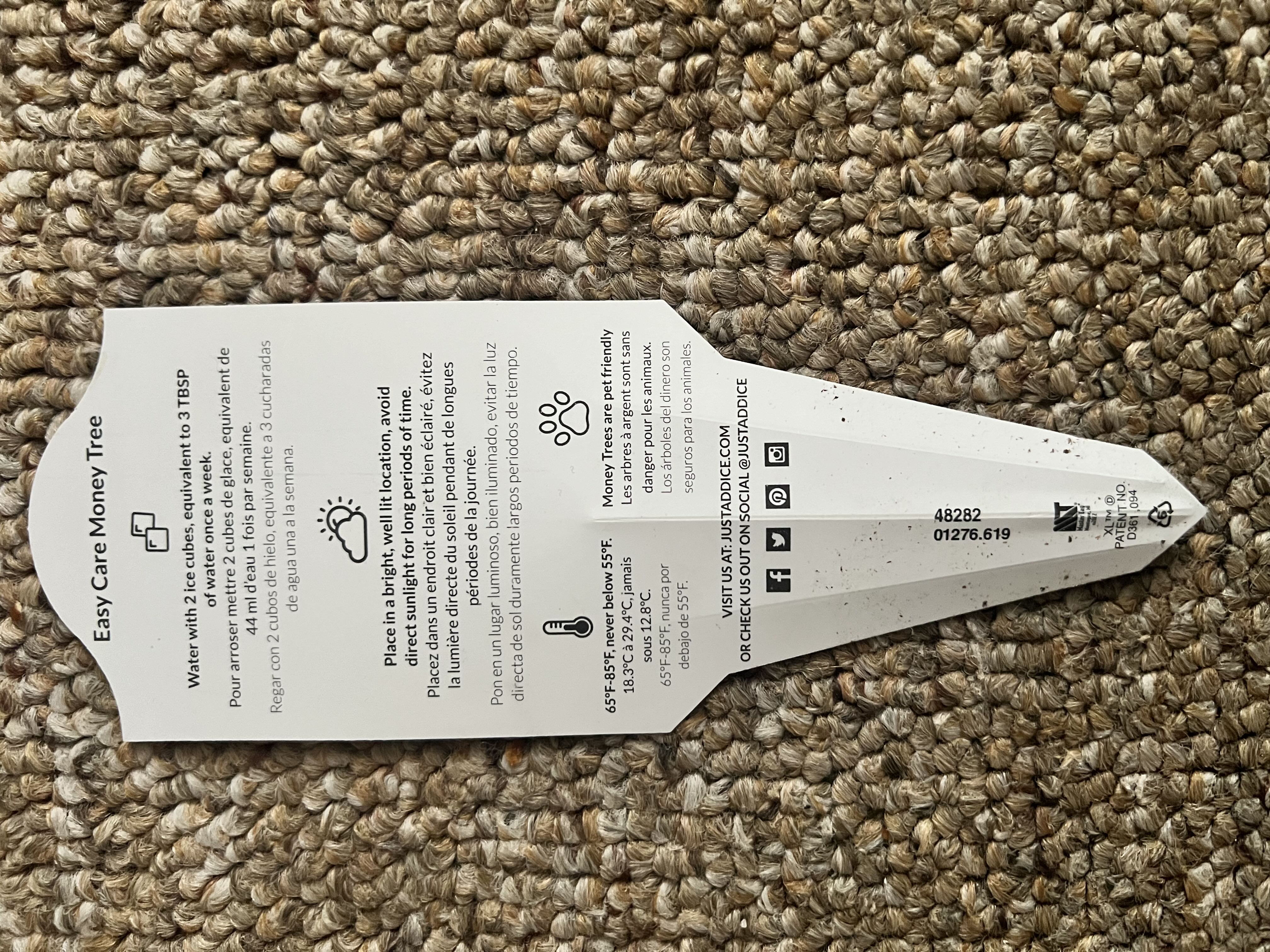 Photo from the post