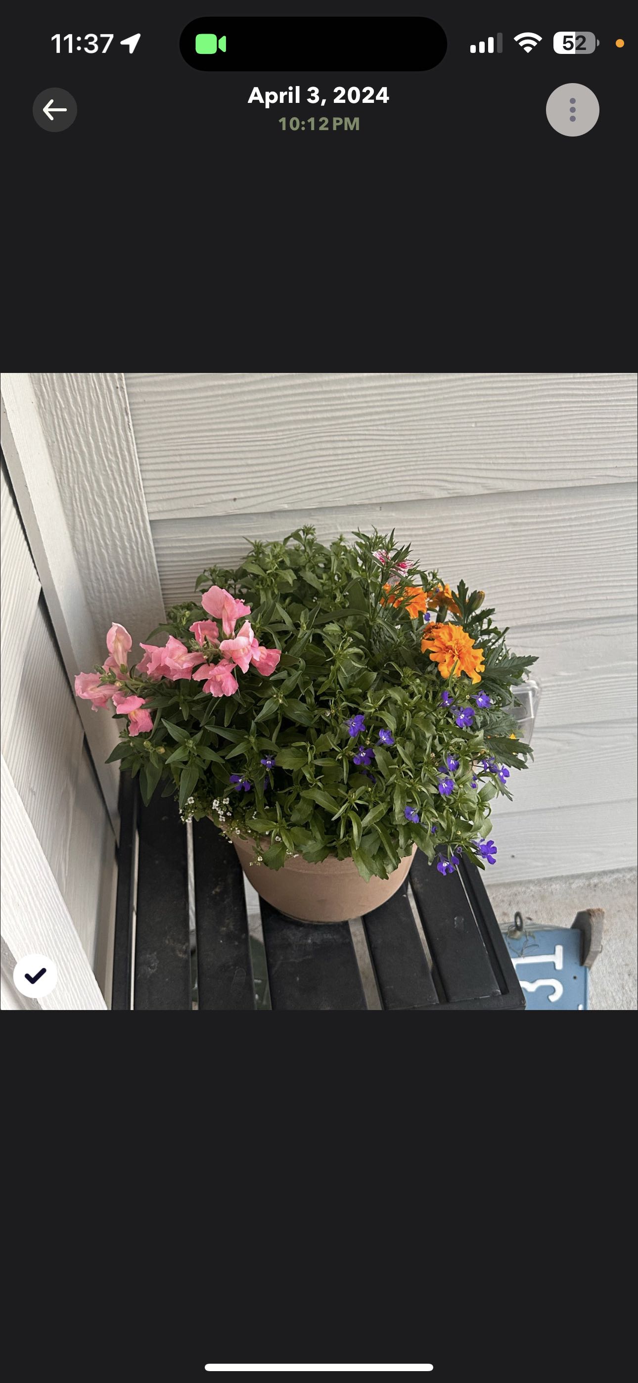 Photo from the post