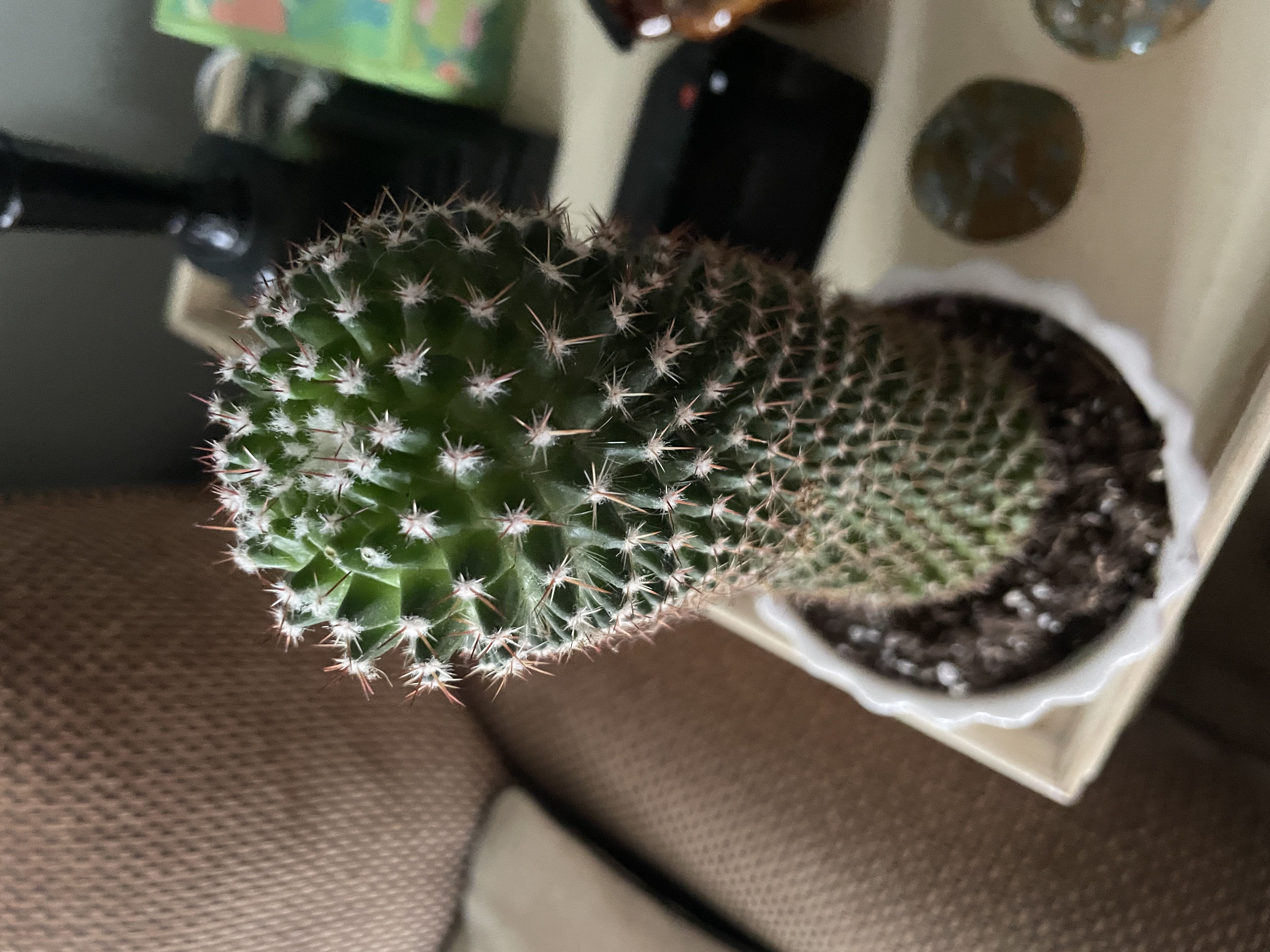 Photo from the post