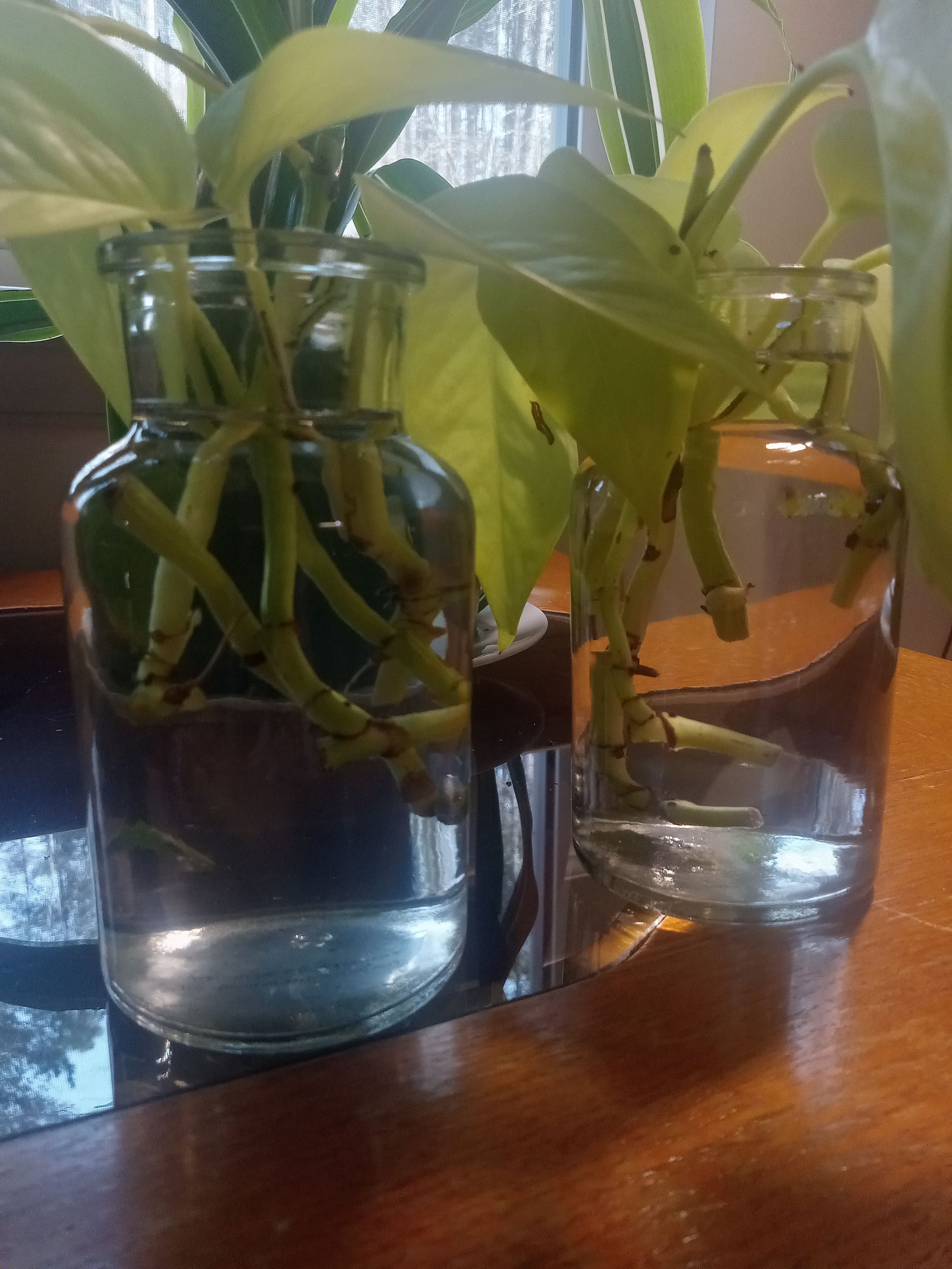 Photo from the post