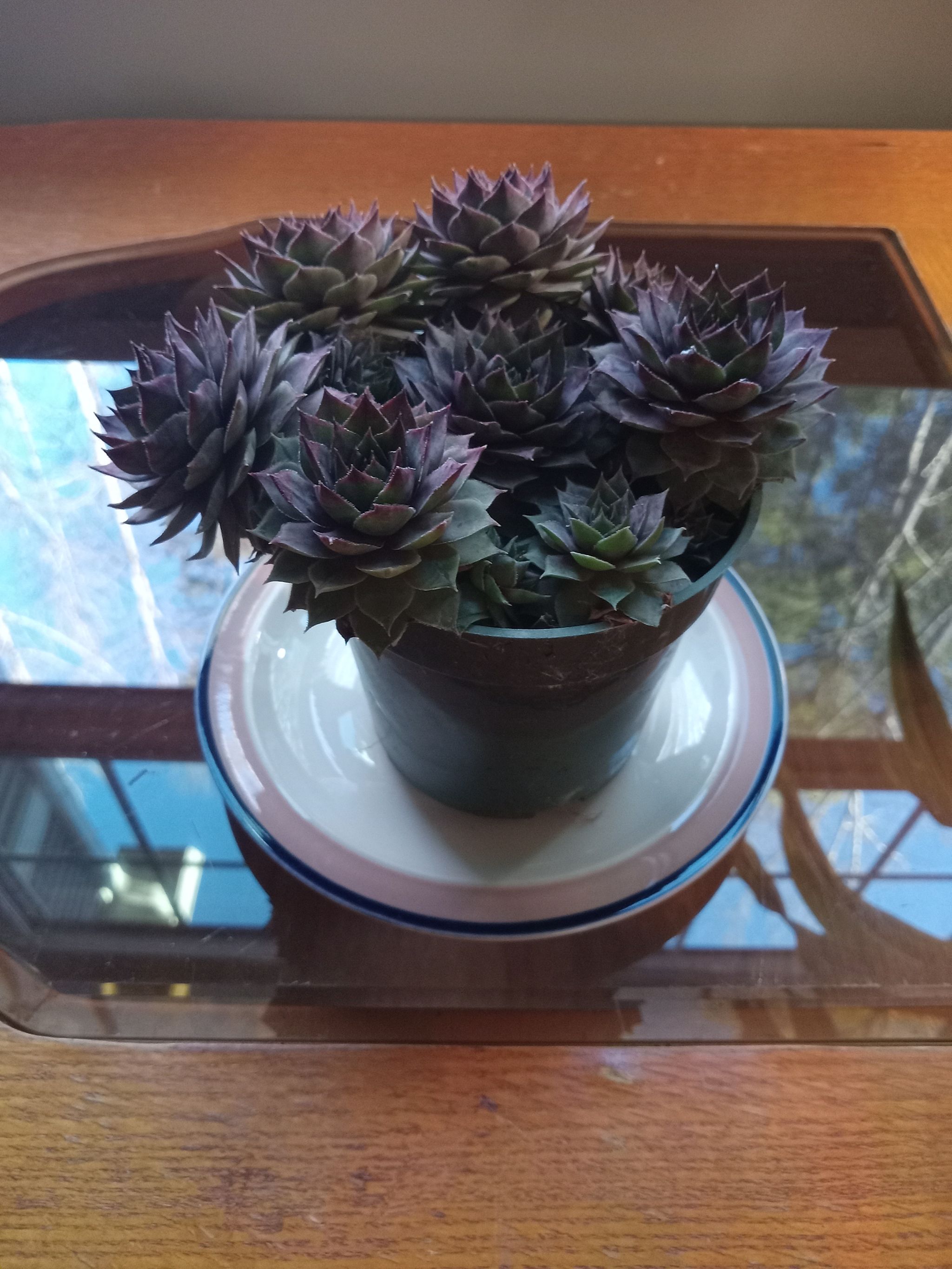 Photo from the post