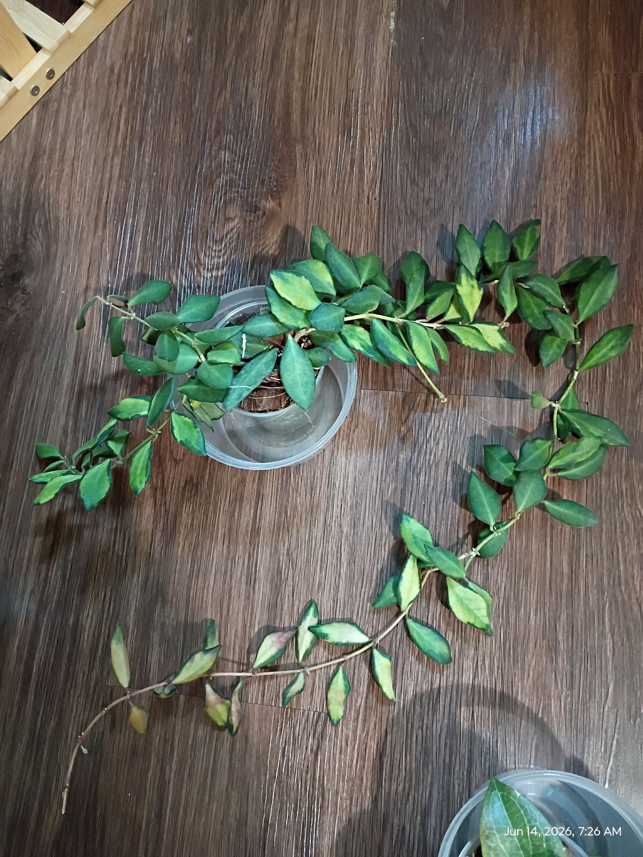 Photo from the post
