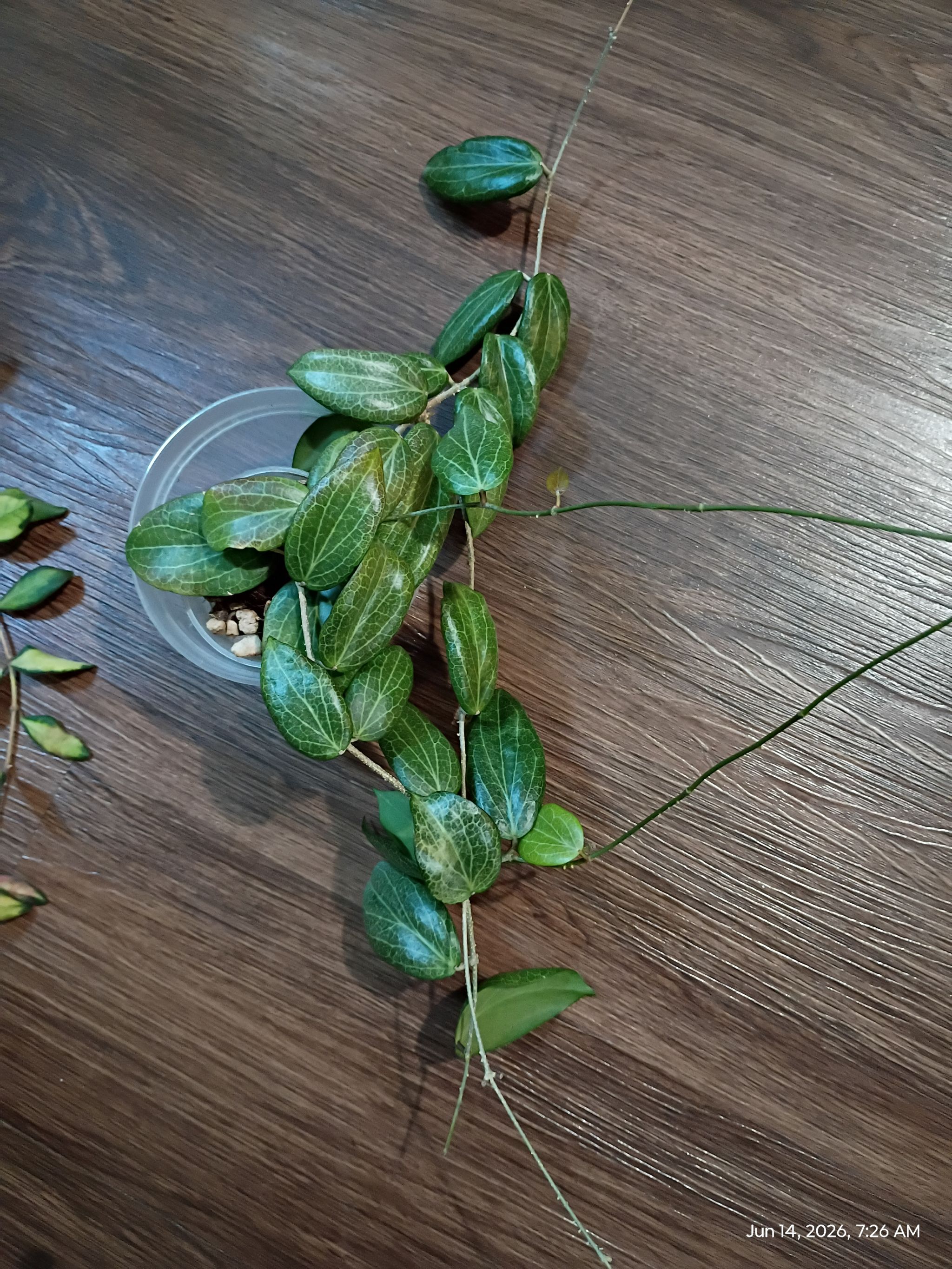 Photo from the post