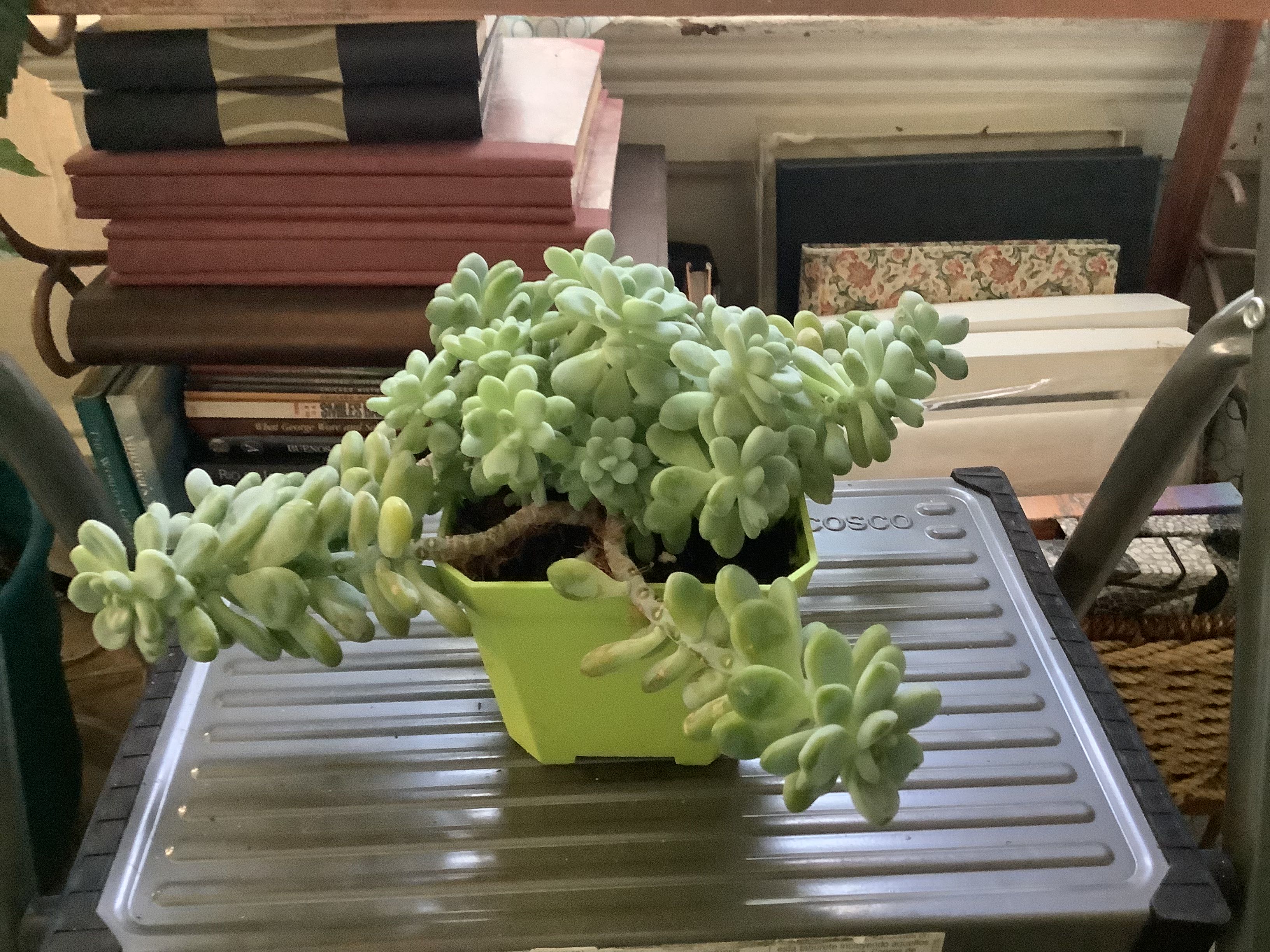 Photo from the post