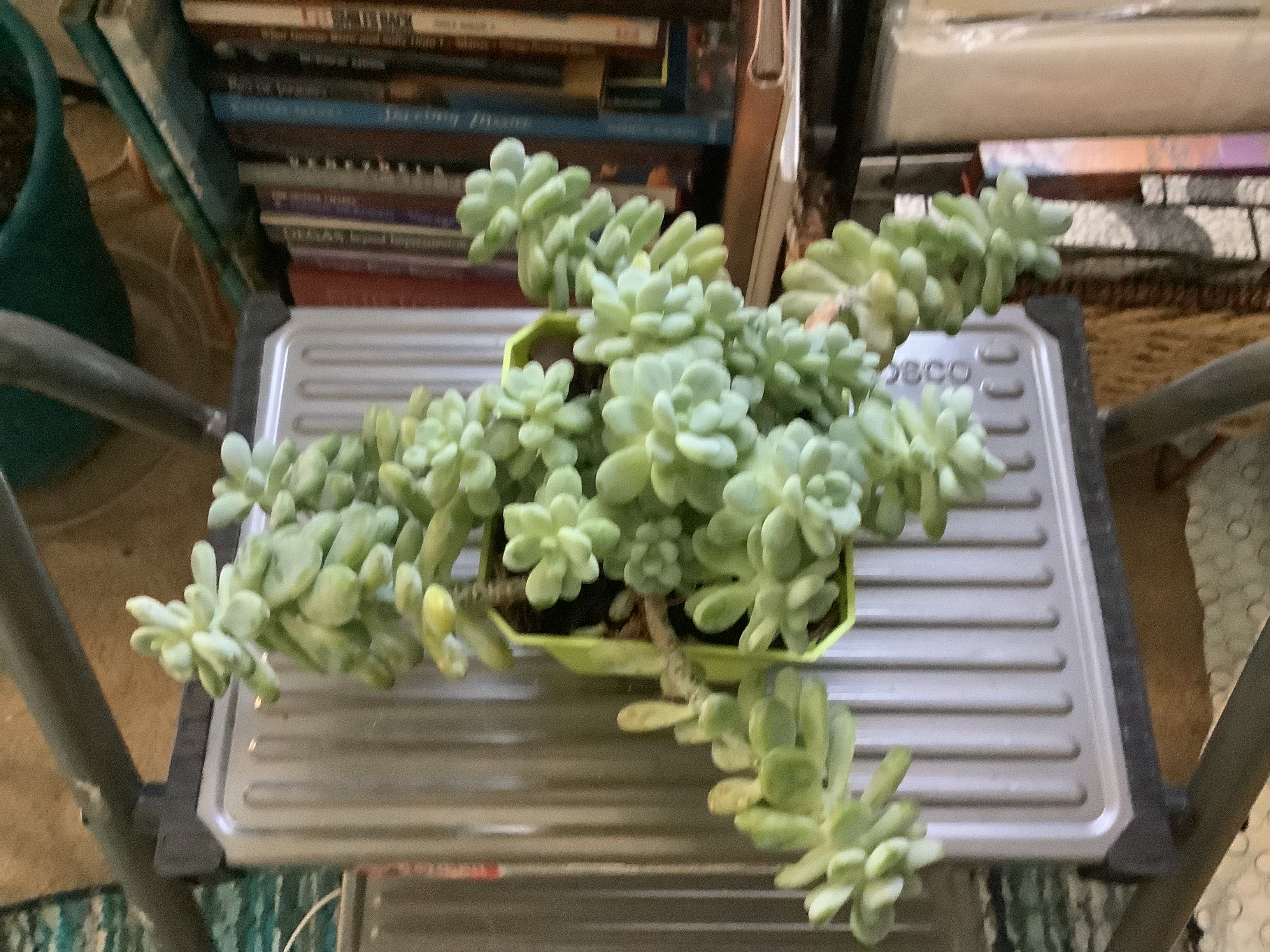 Photo from the post