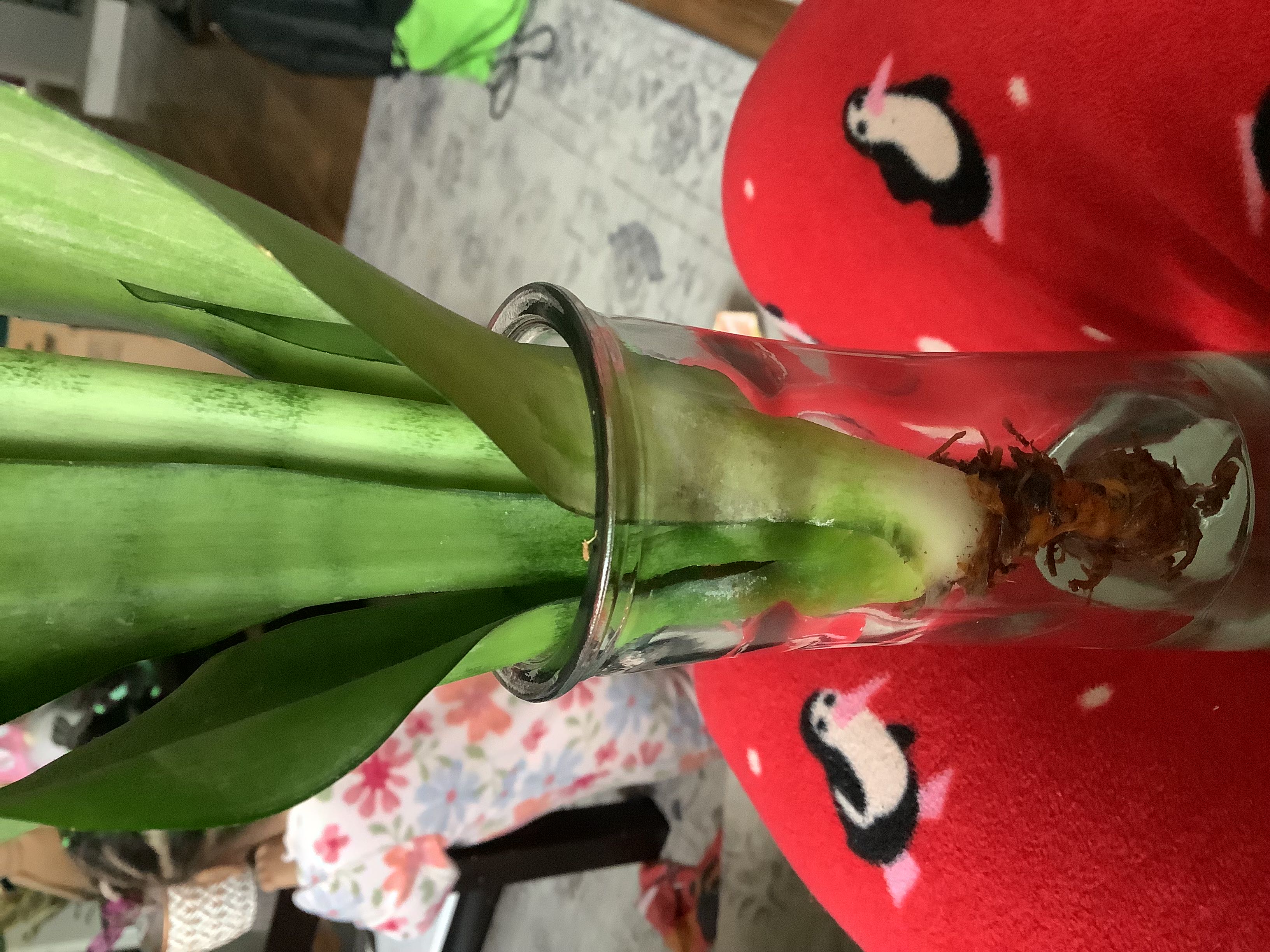 Photo from the post