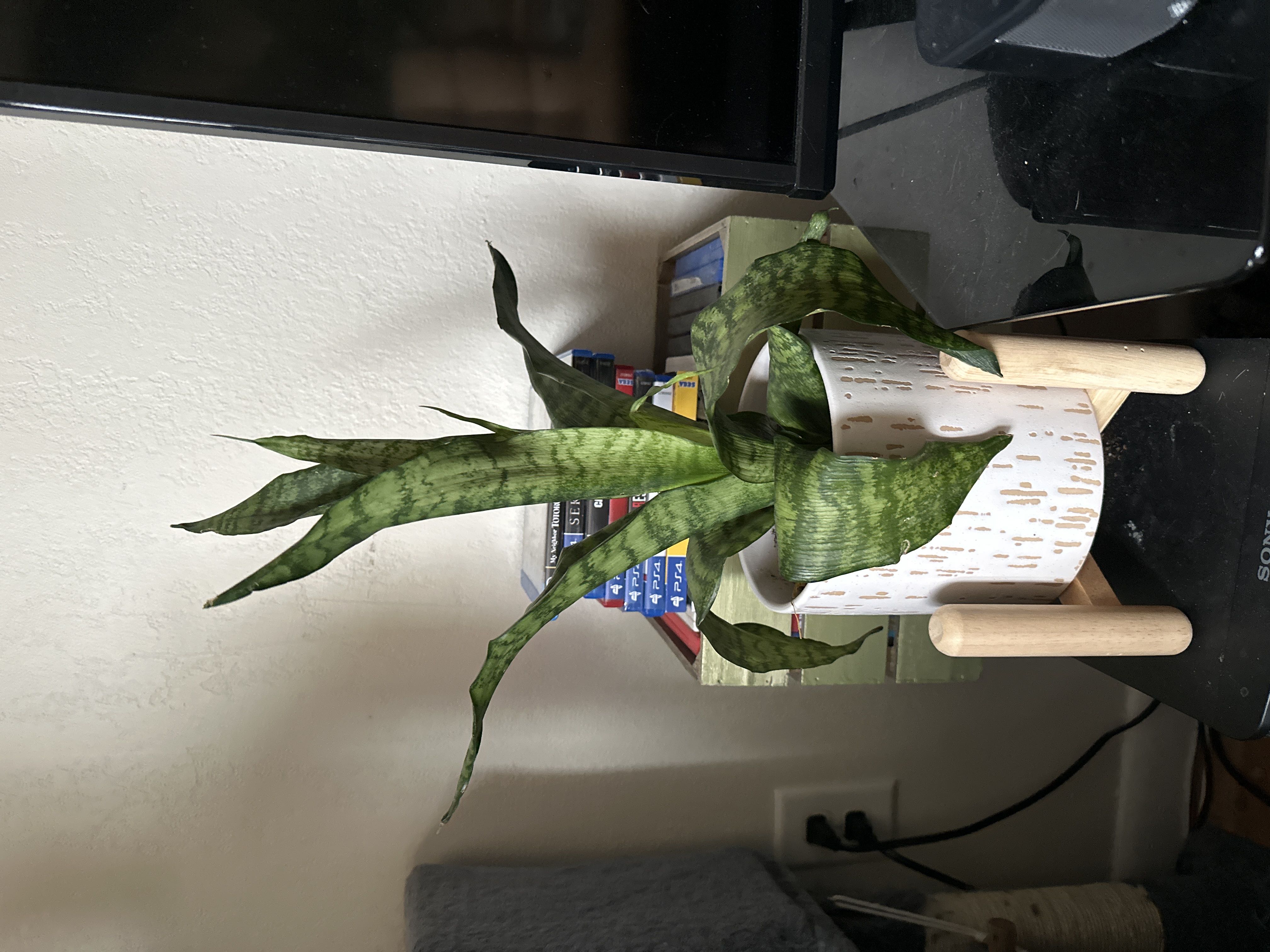 Photo from the post