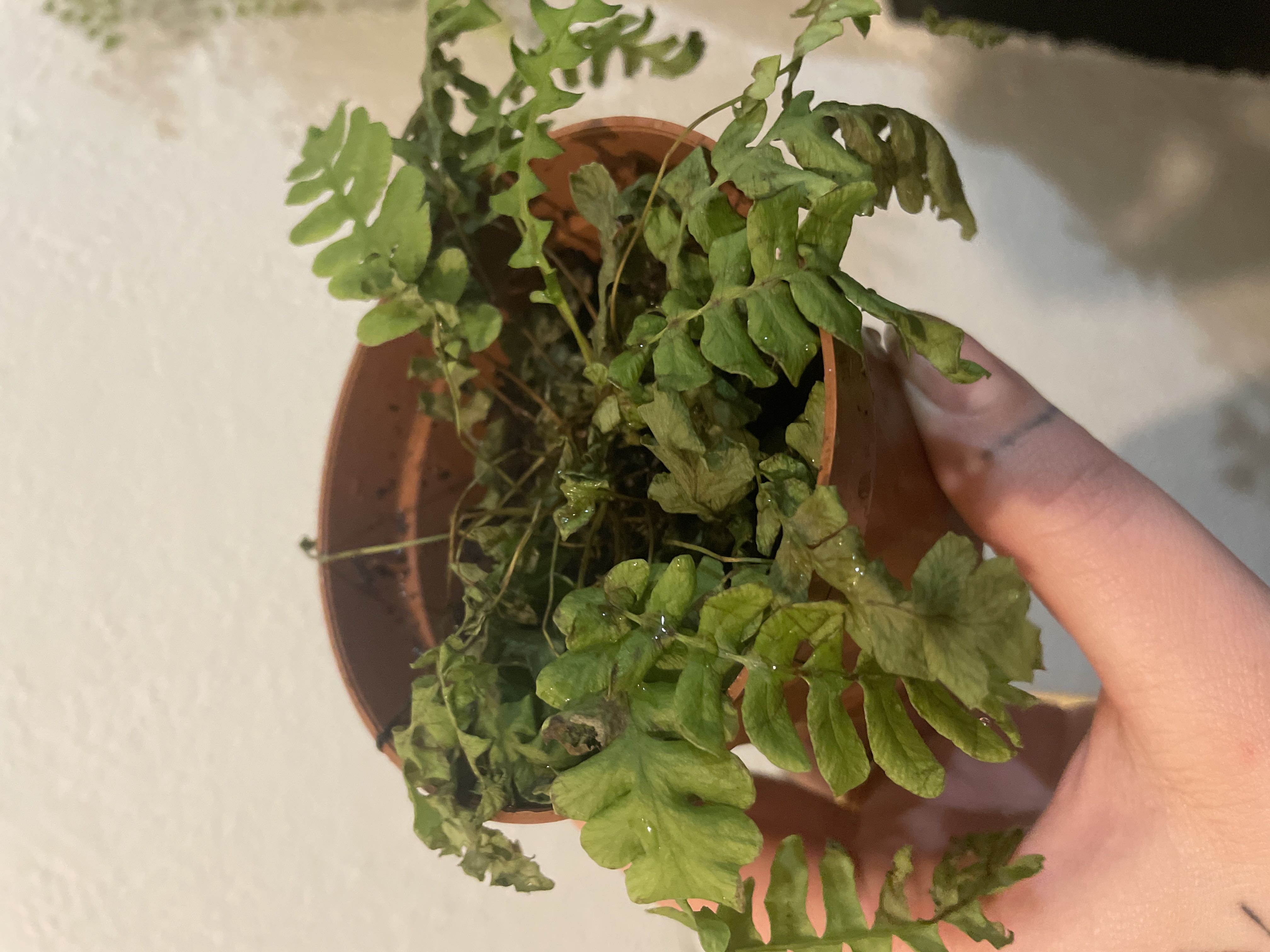 Photo from the post