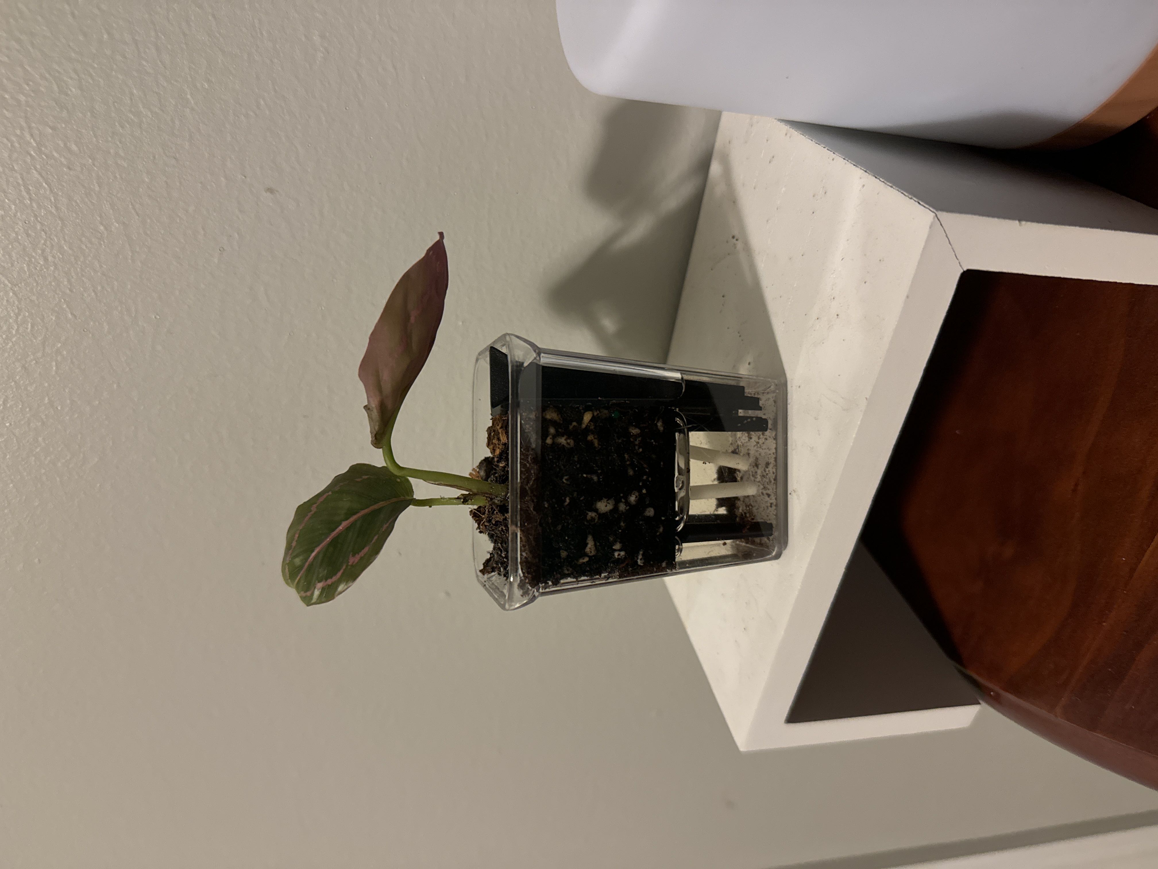 Photo from the post