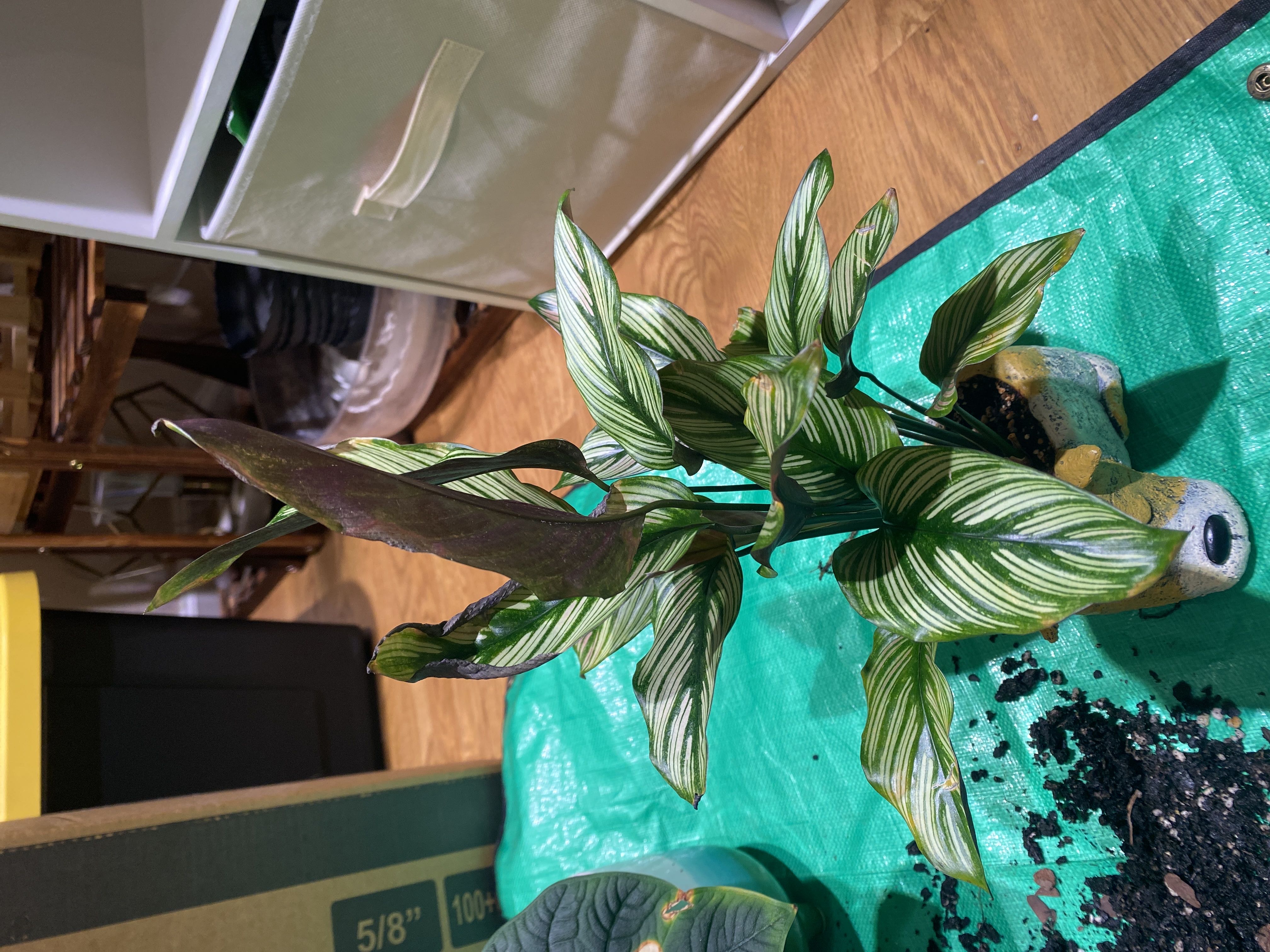 Photo from the post