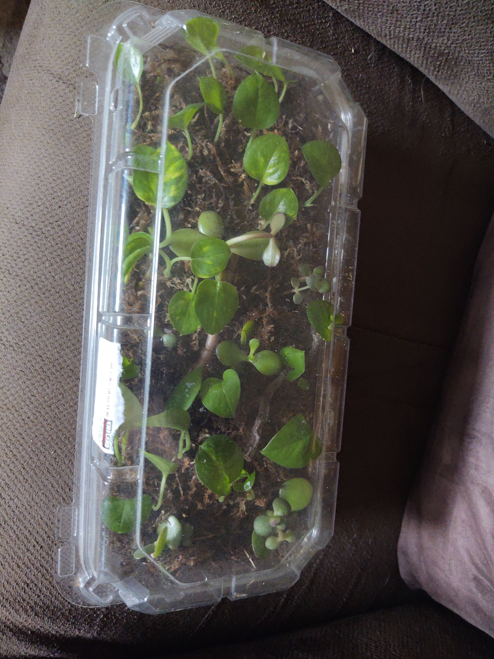 Photo from the post