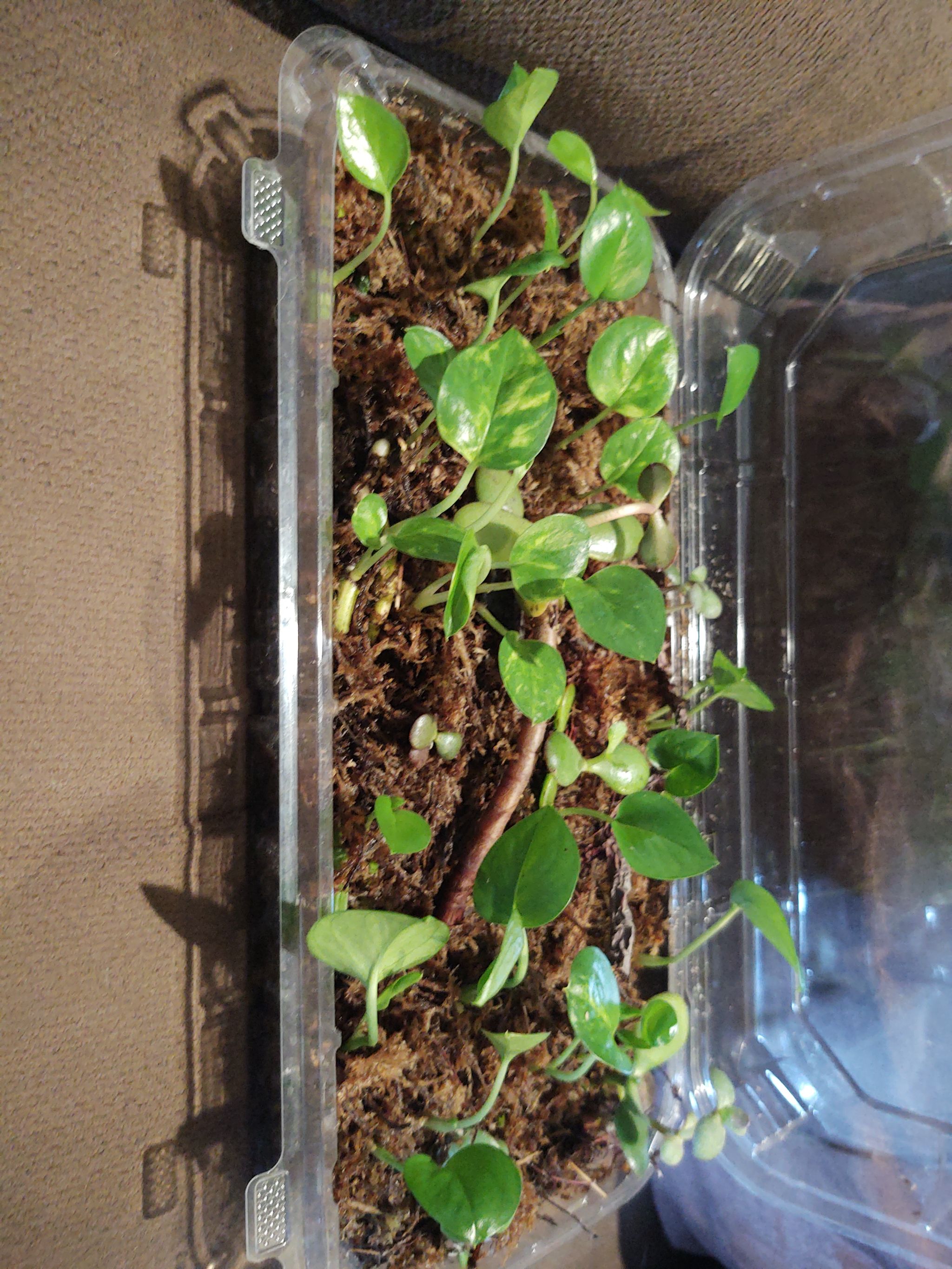 Photo from the post