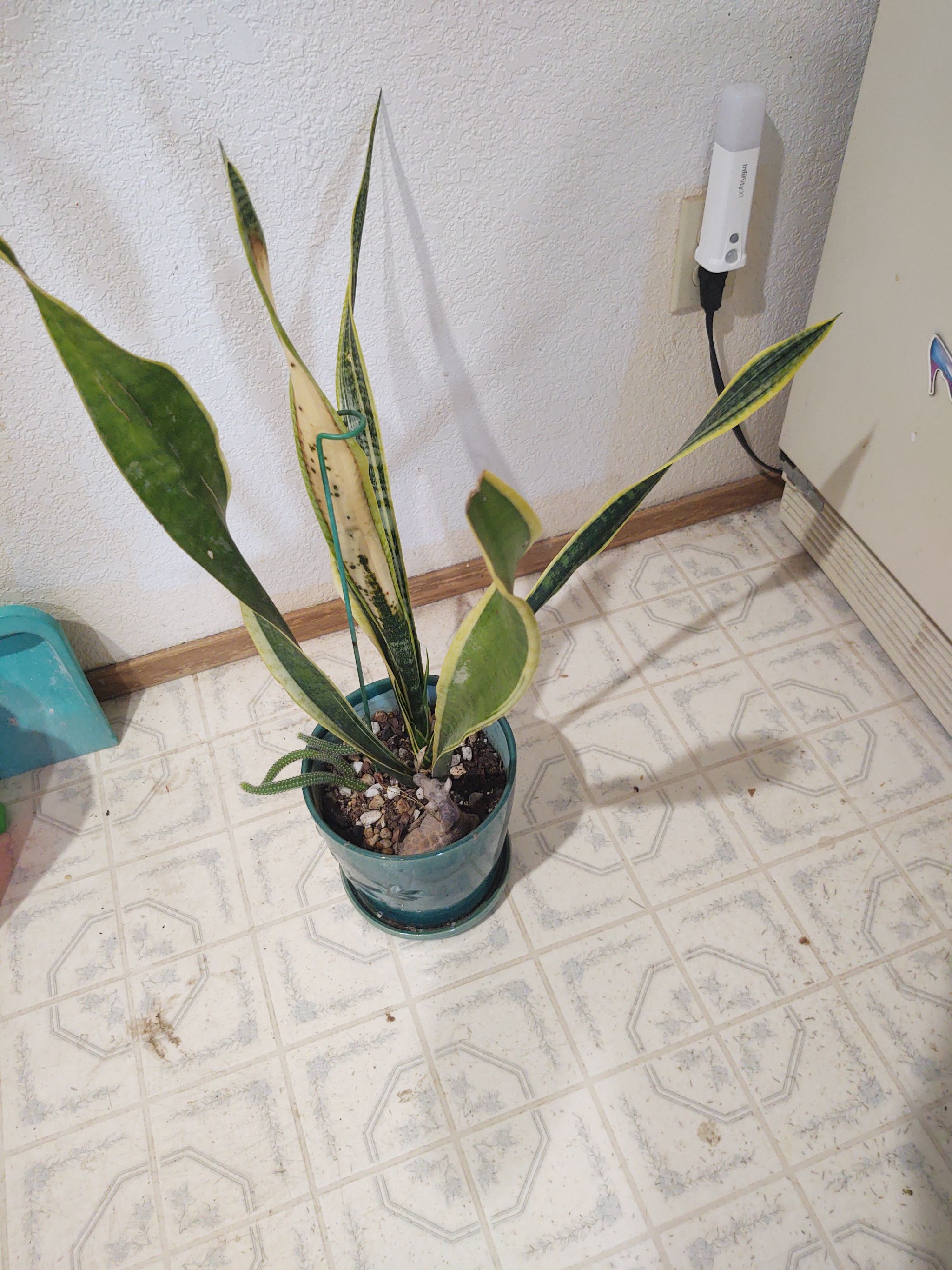 Photo from the post