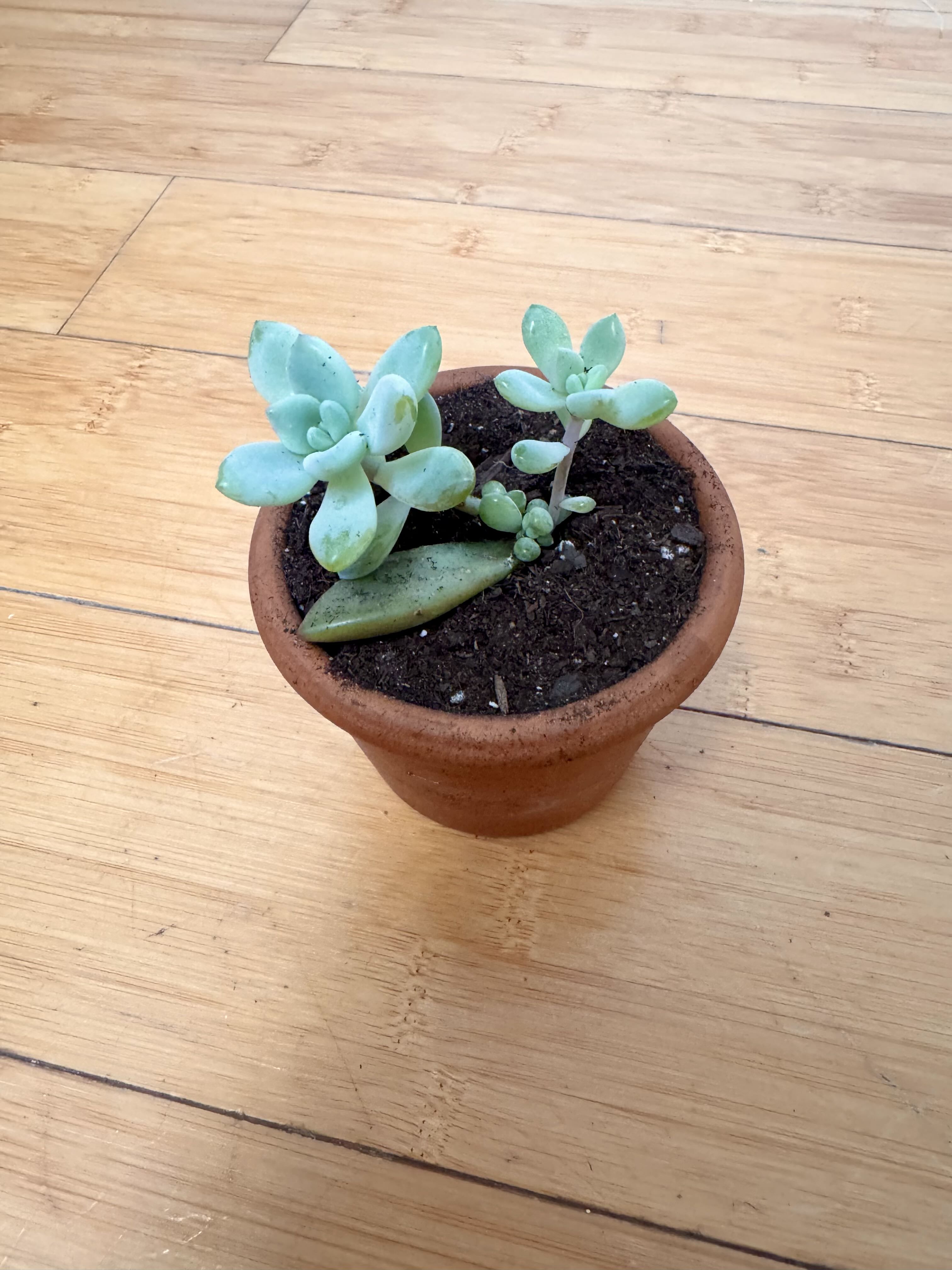 Photo from the post