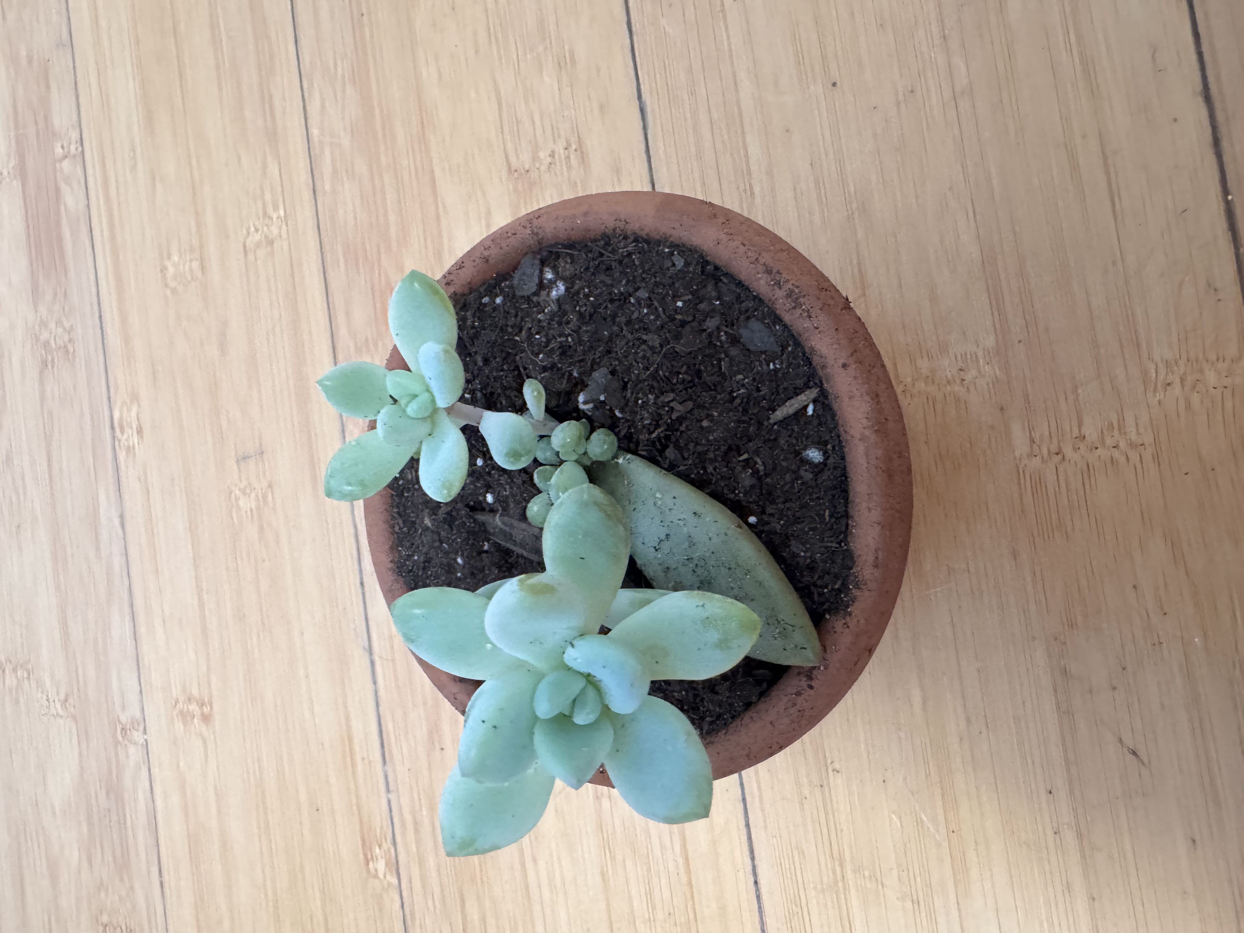 Photo from the post