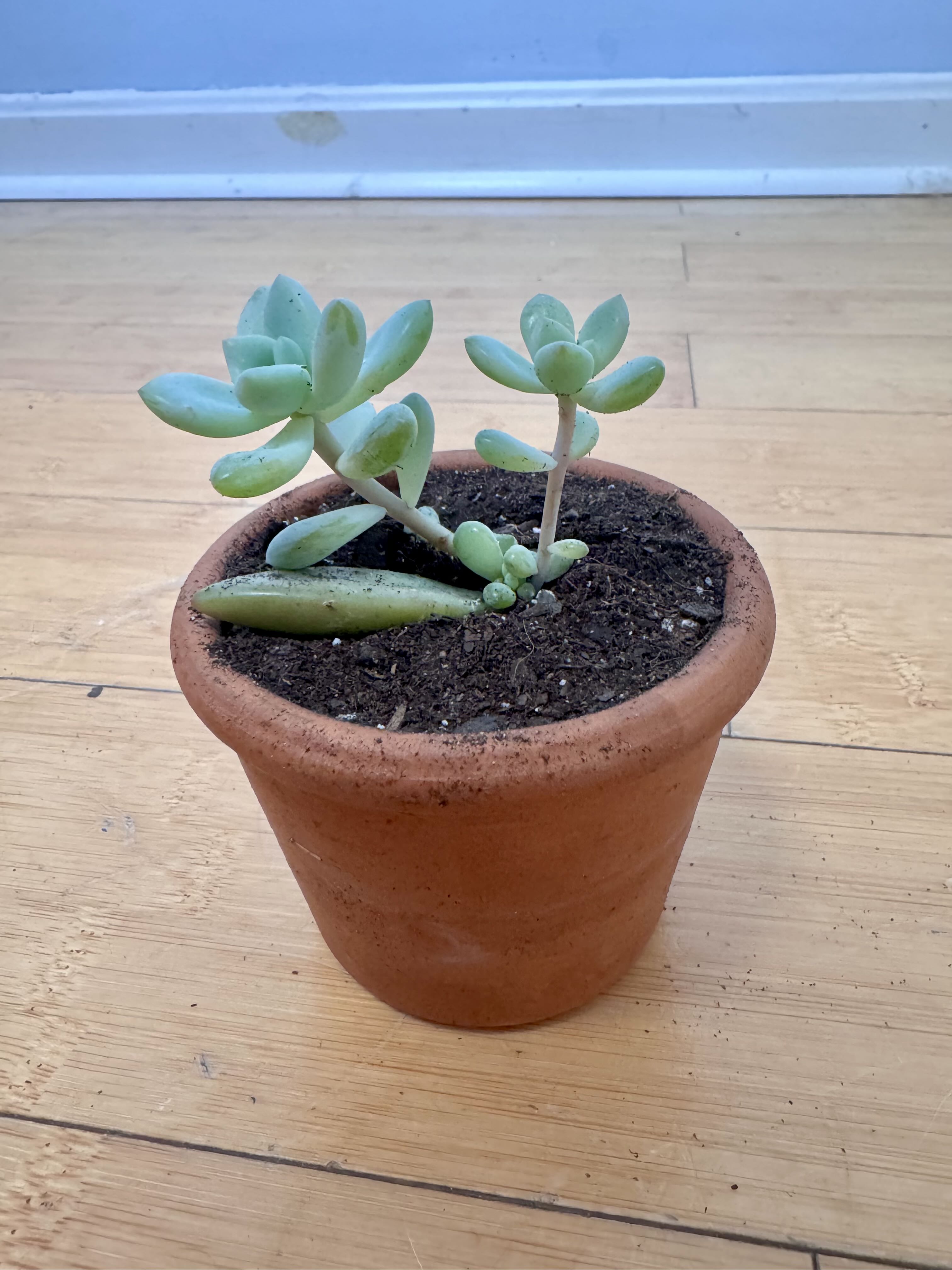 Photo from the post