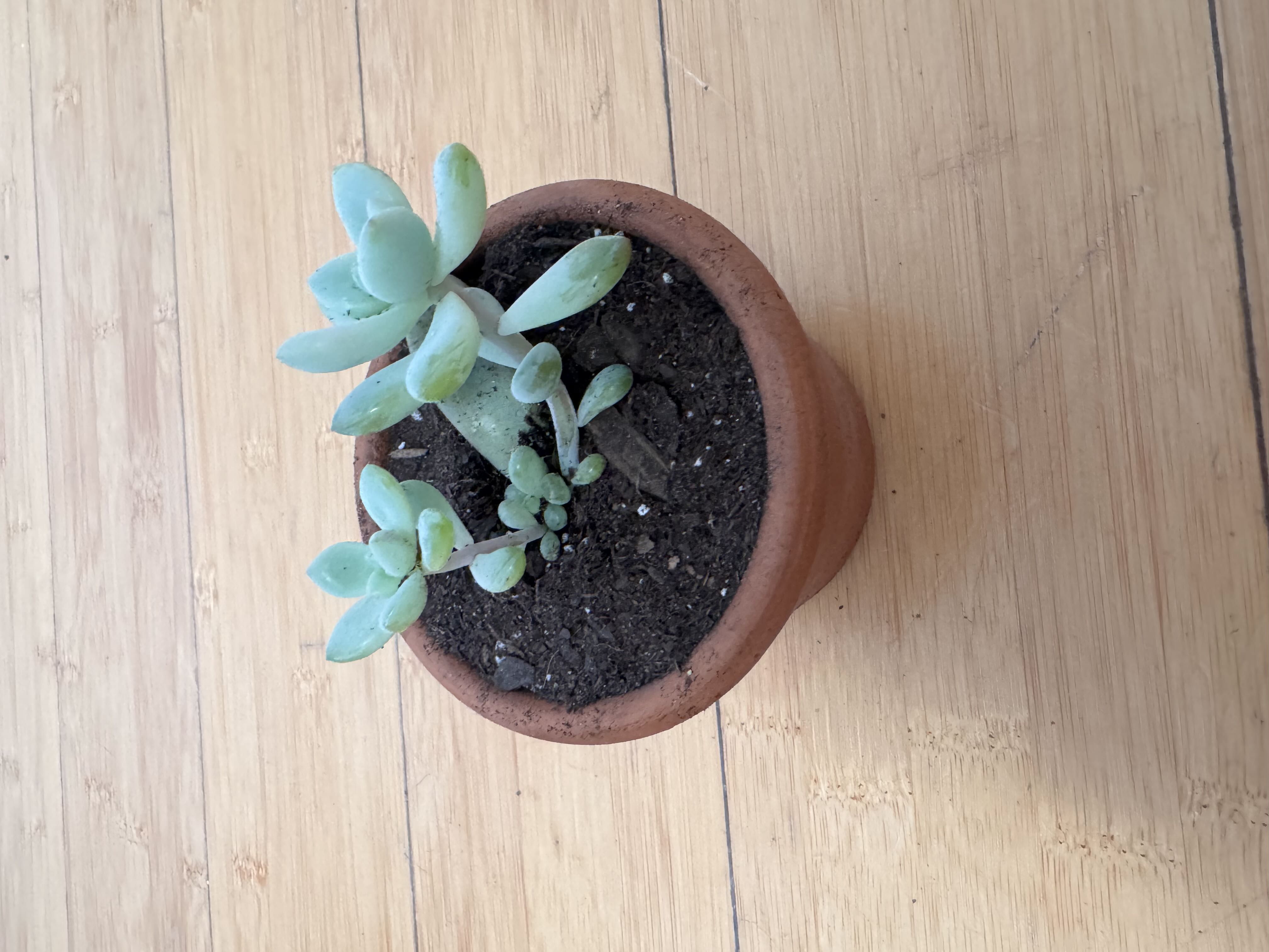 Photo from the post
