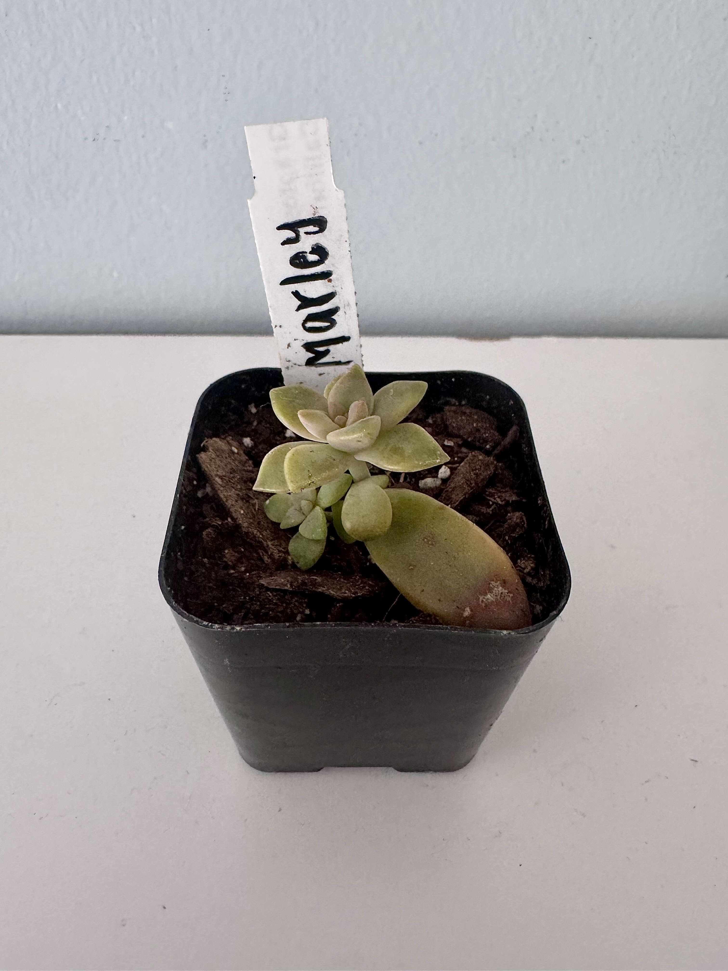 Photo from the post