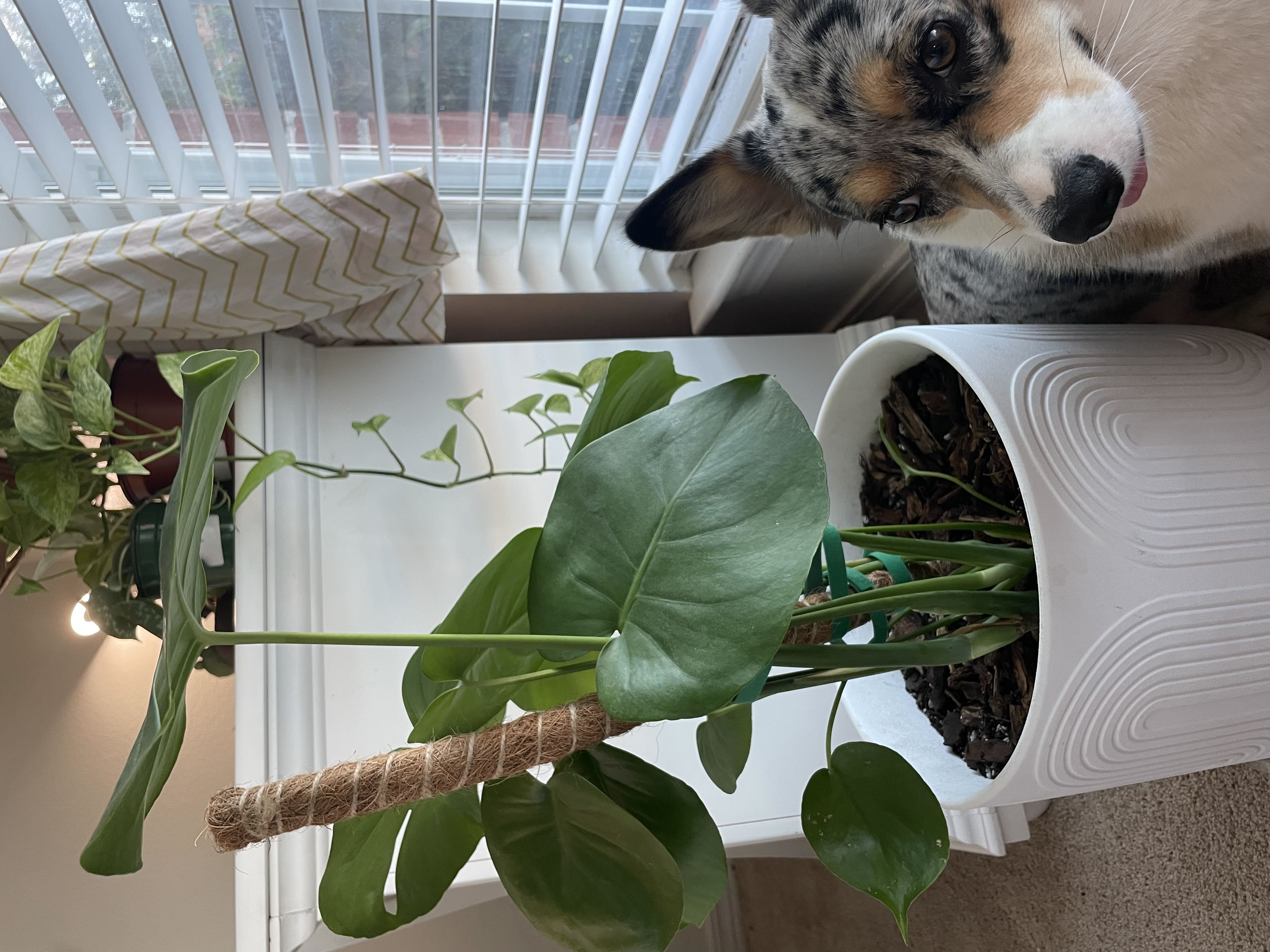 Photo from the post