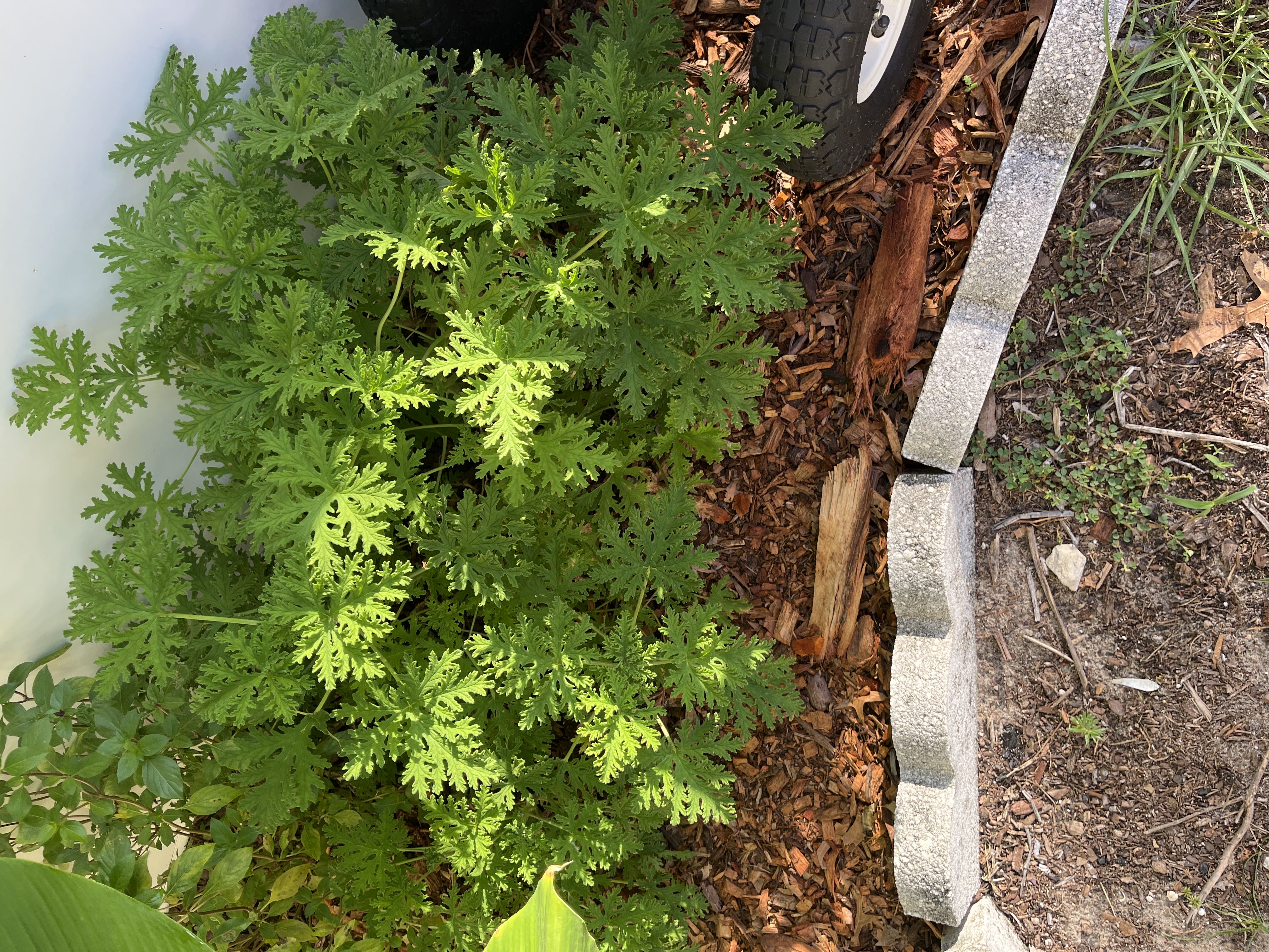 Photo from the post