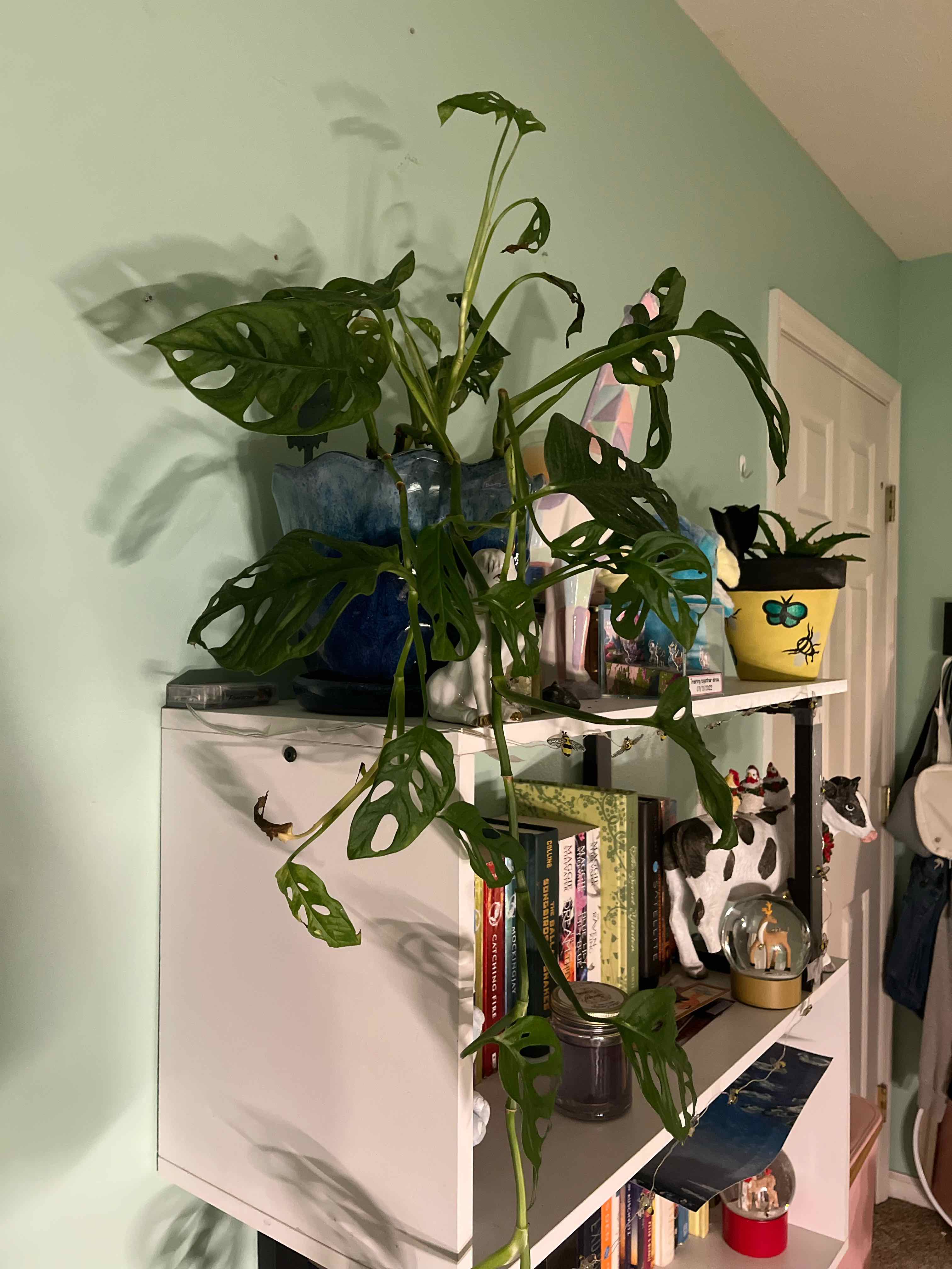 Morgan Treeman | A plant by @PlantGworl on Greg