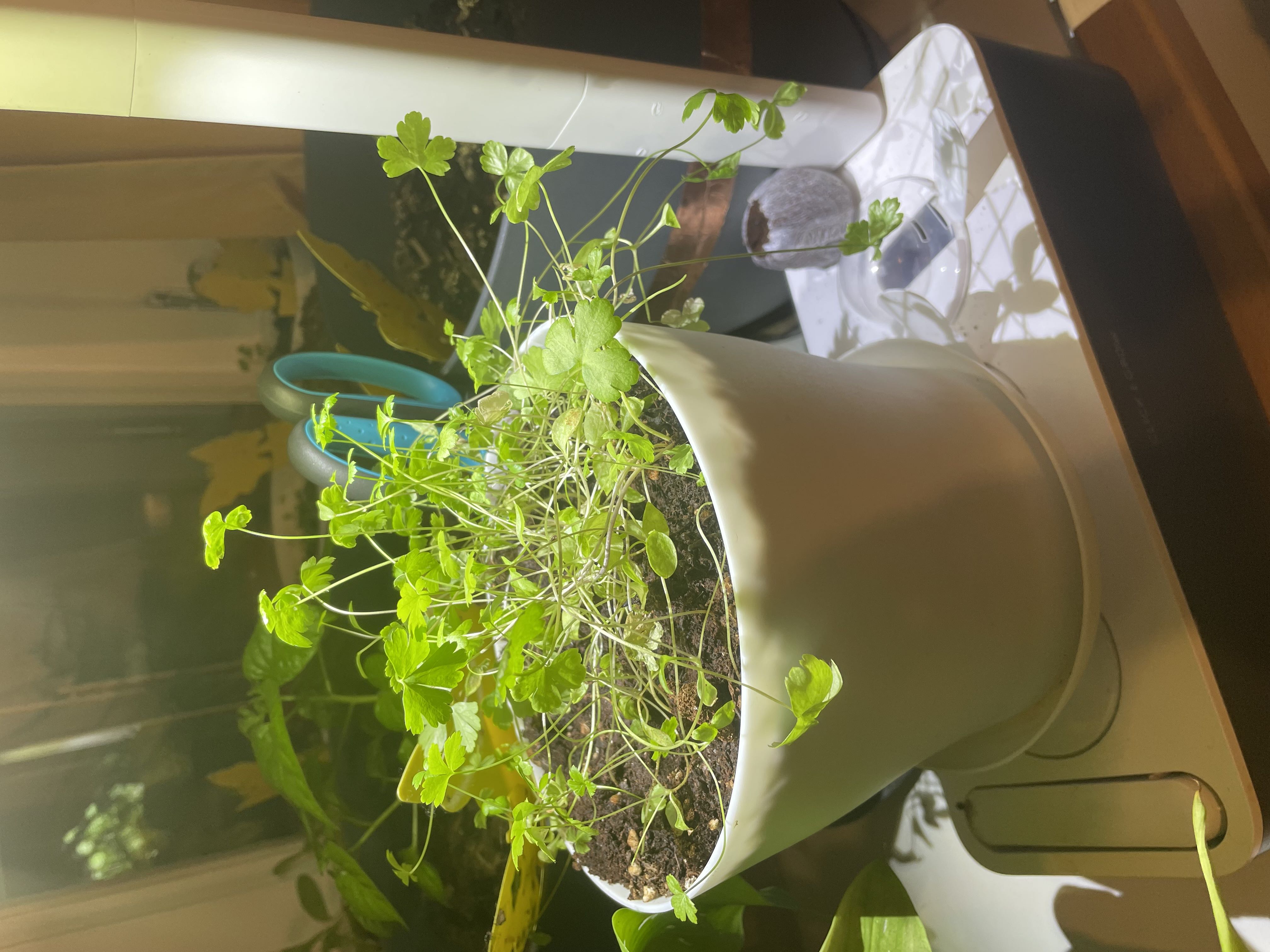 Photo from the post