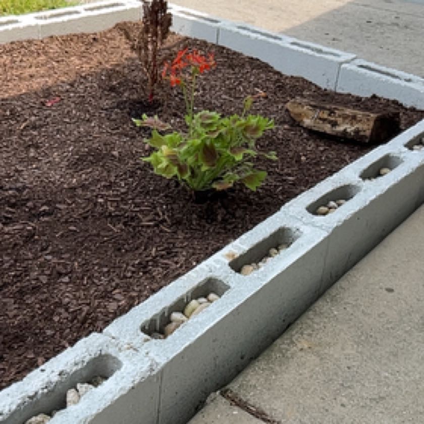 Photo of the plant species Vancouver Centennial Geranium by @CosmicDuncecap named Denali on Greg, the plant care app