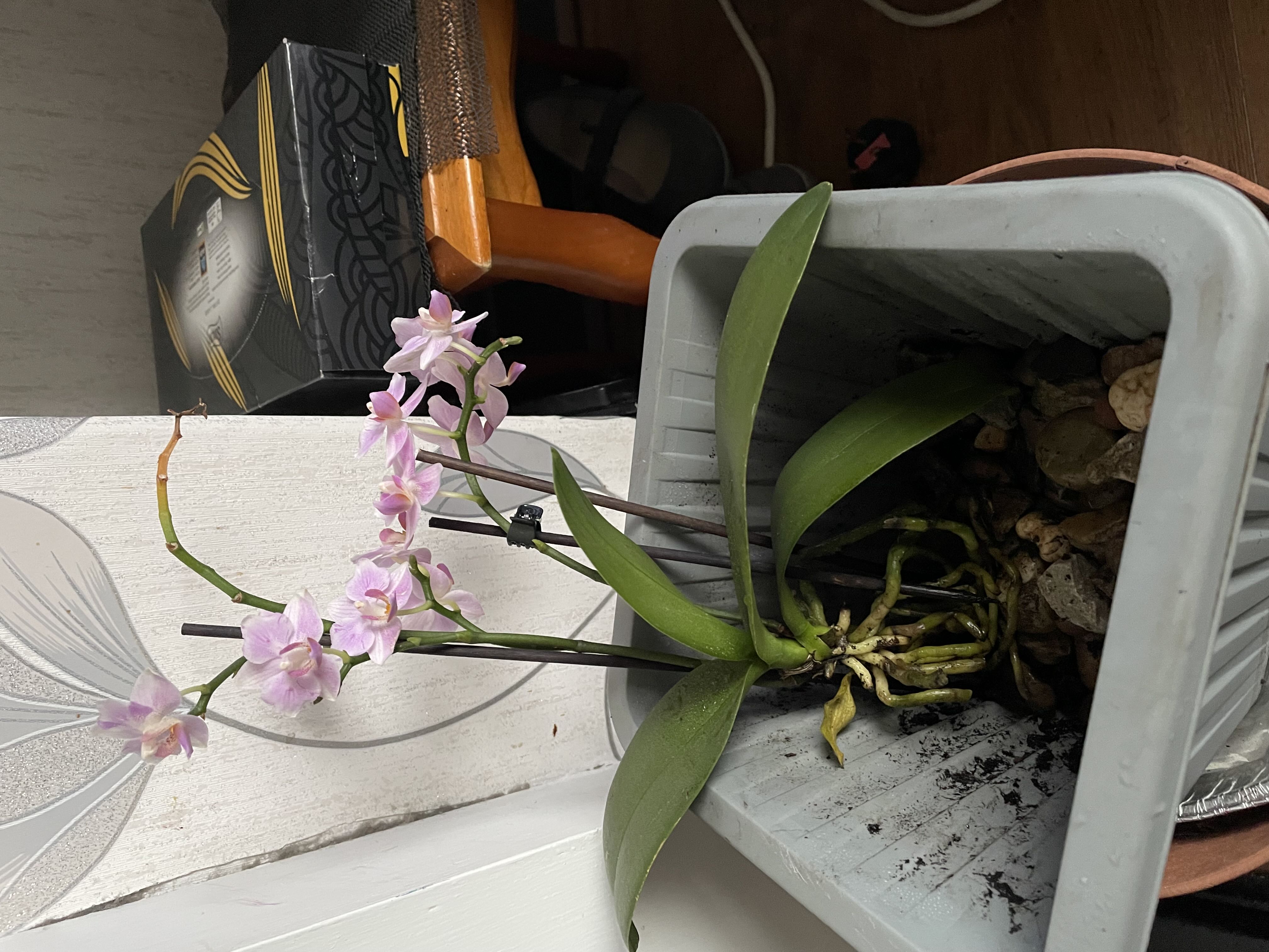 Photo from the post