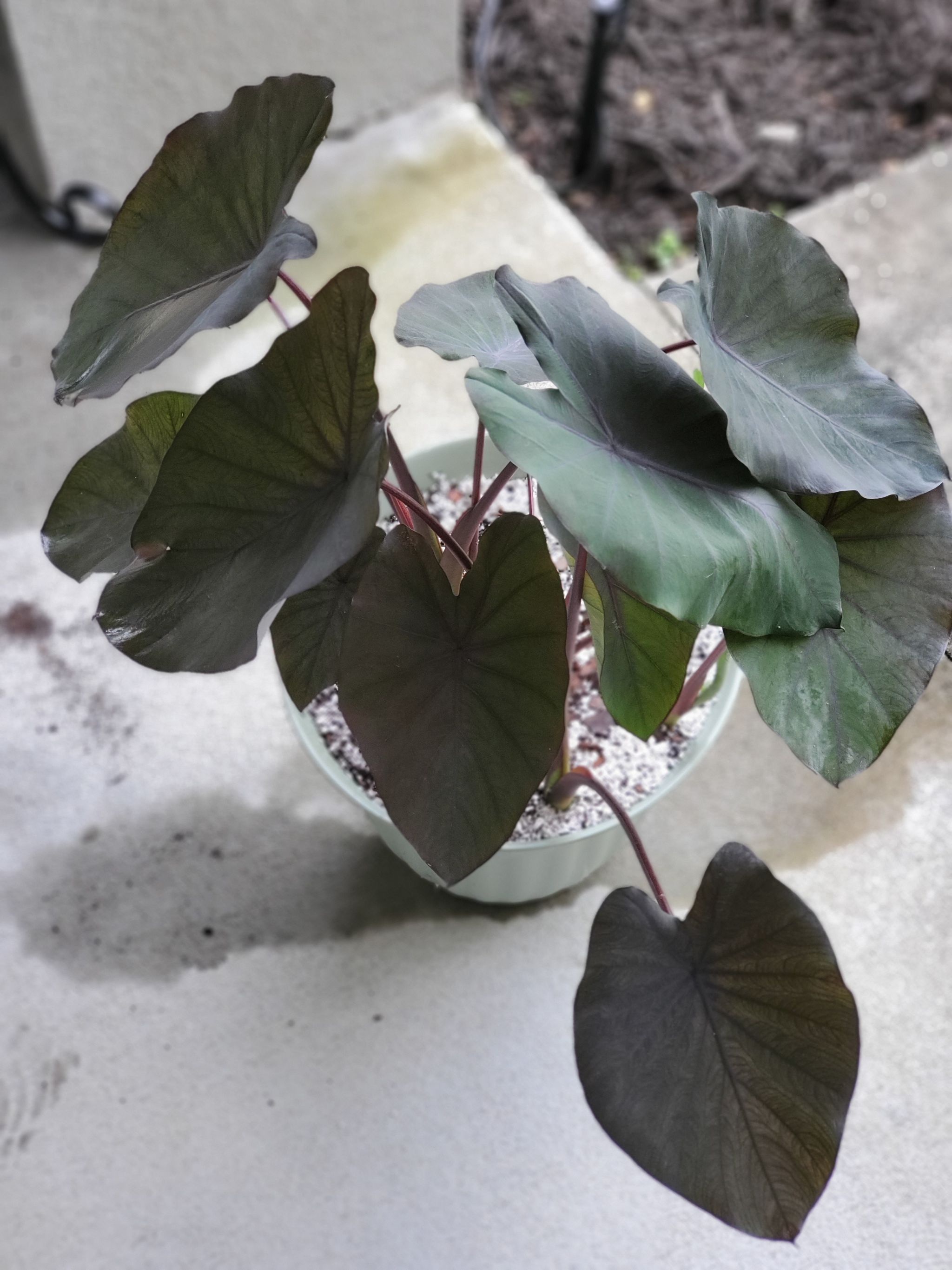 Photo from the post