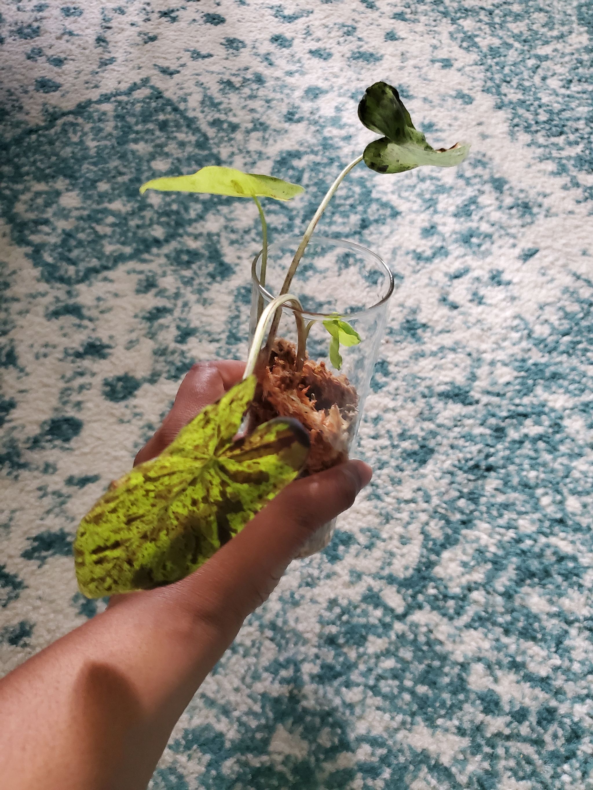 Photo from the post