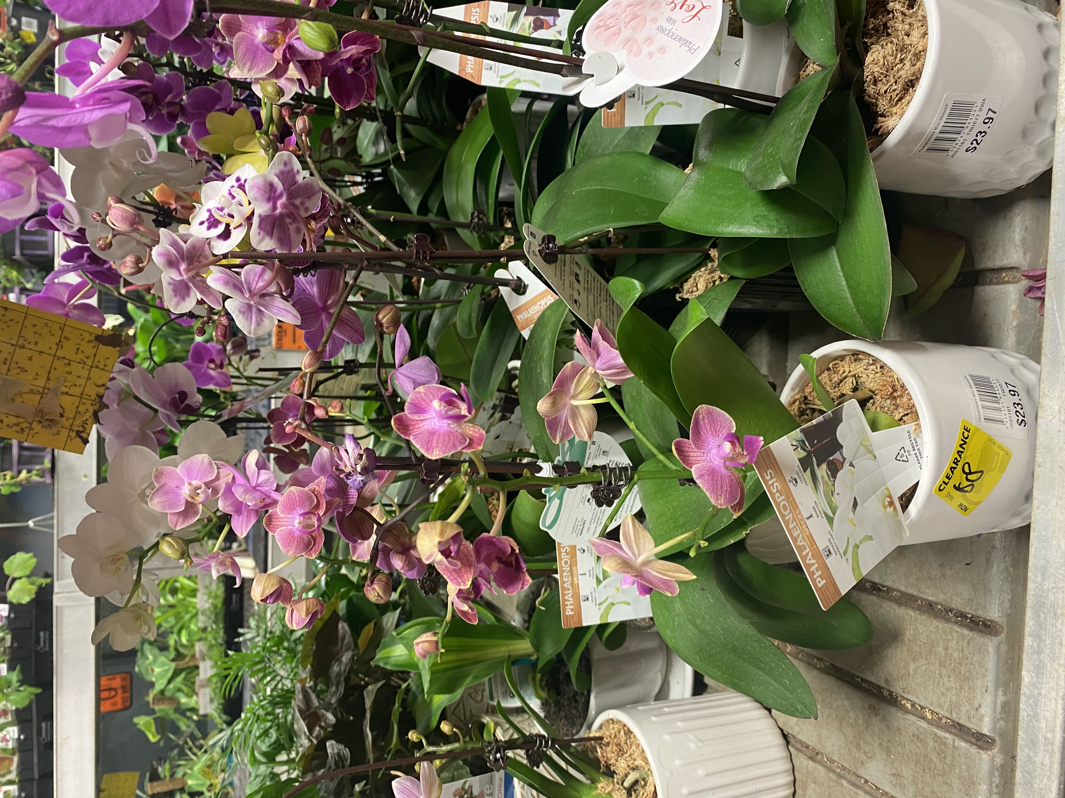 Photo from the post
