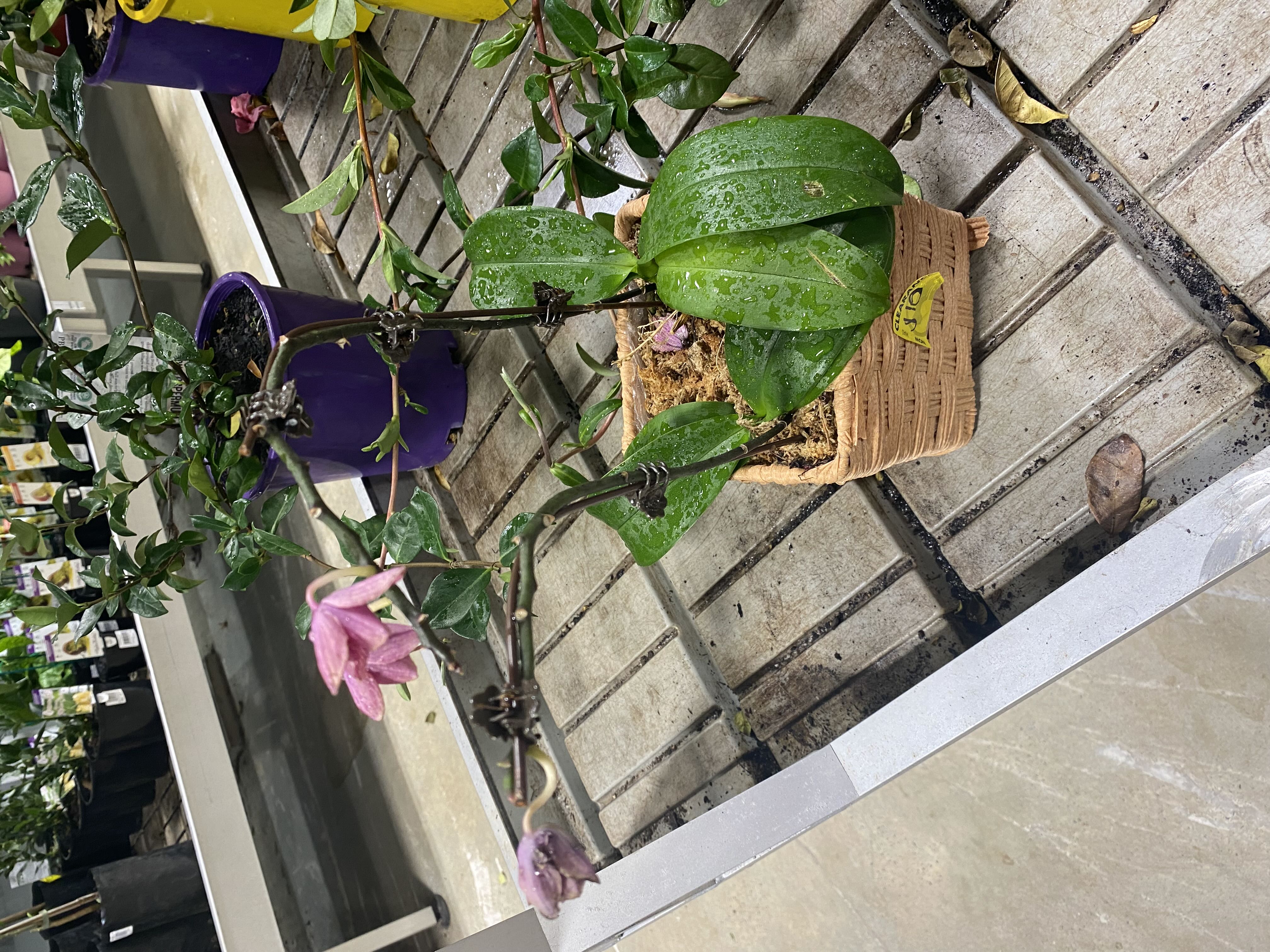 Photo from the post