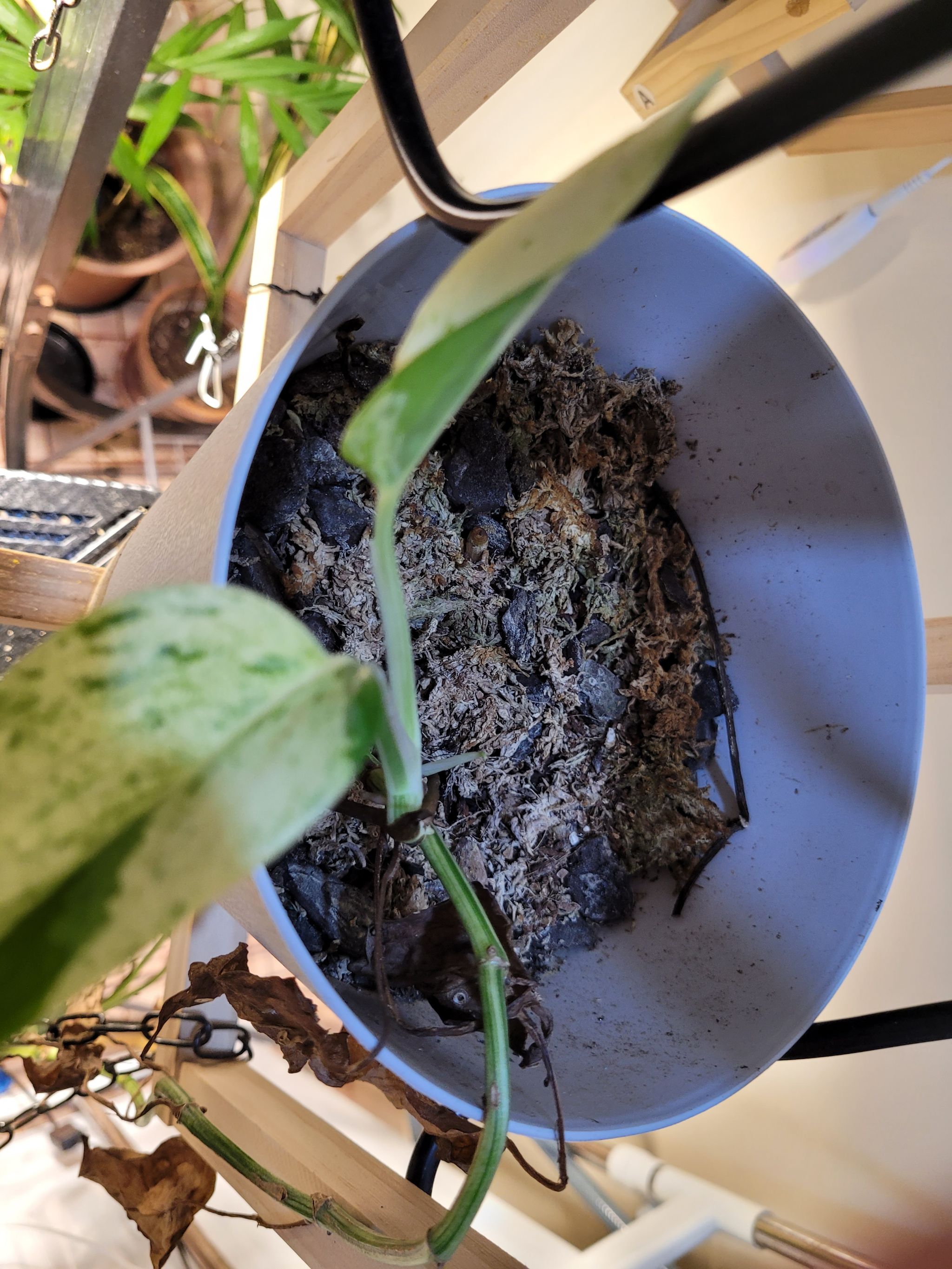 Photo from the post