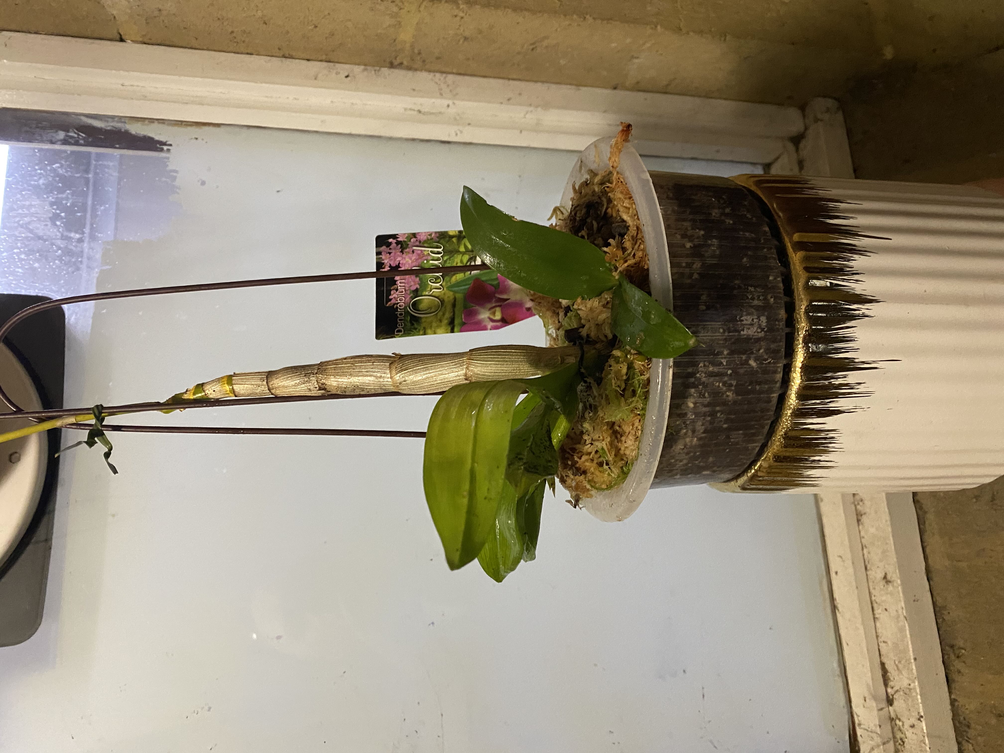 Photo from the post