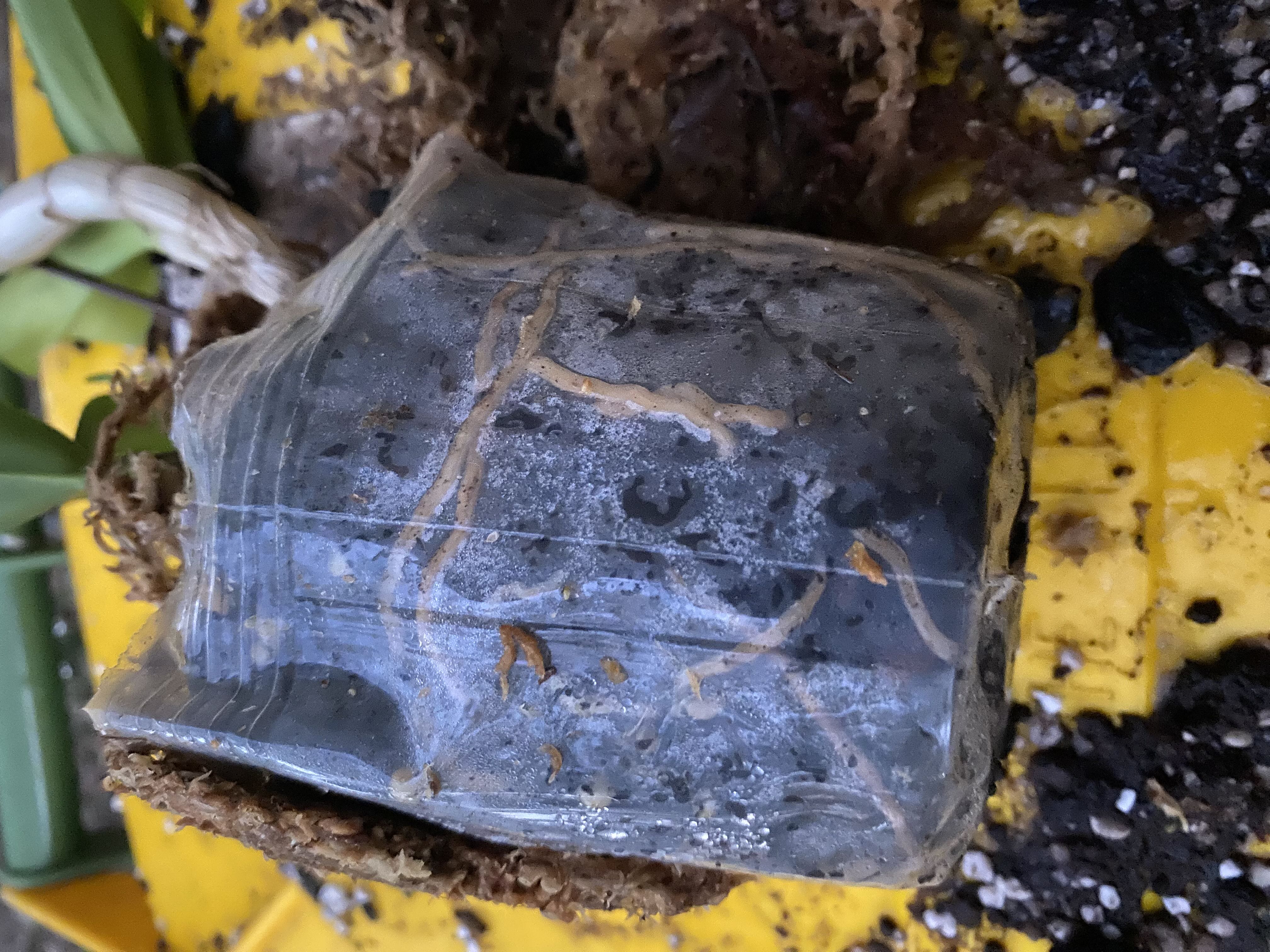 Photo from the post