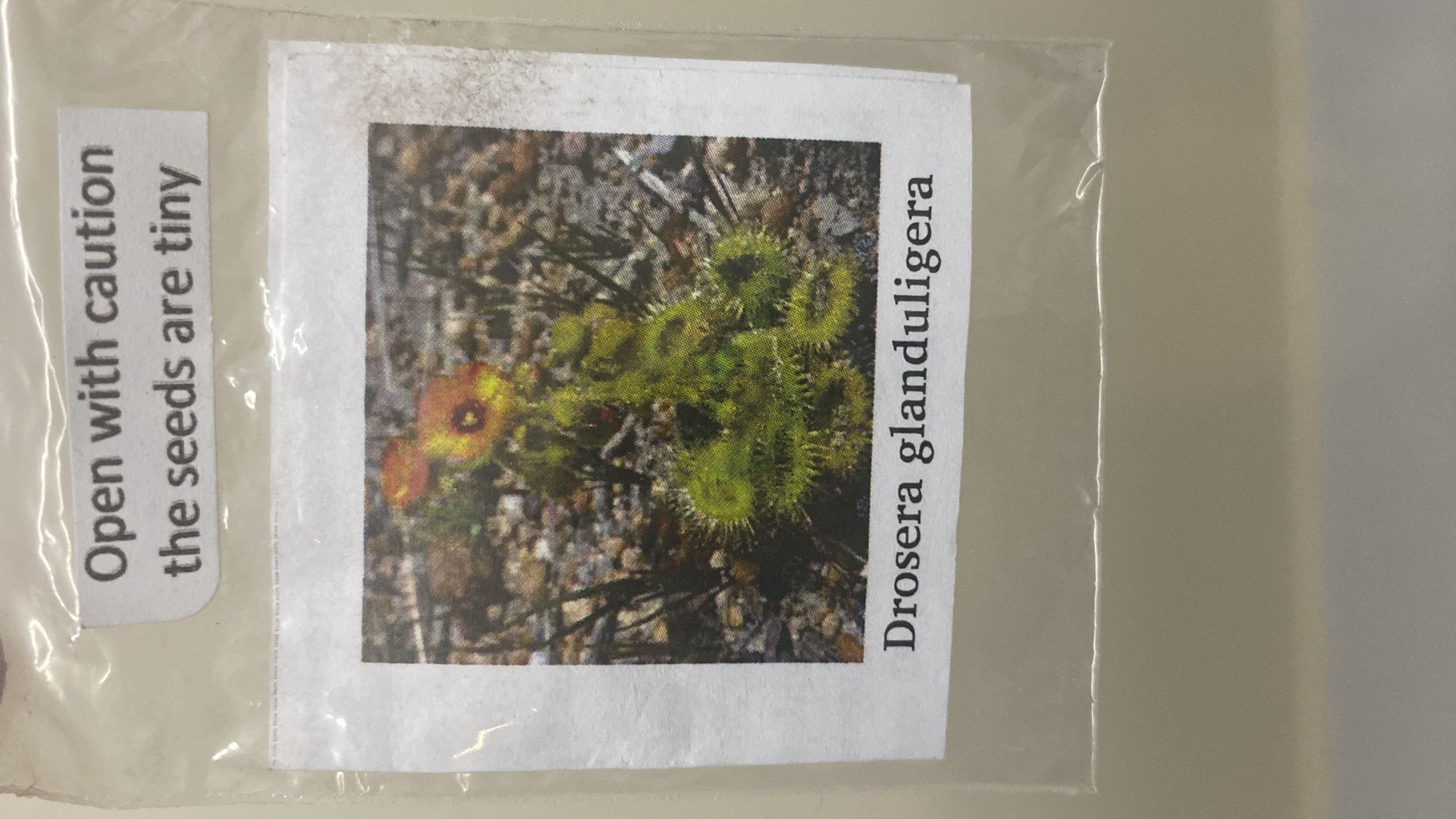 Photo from the post