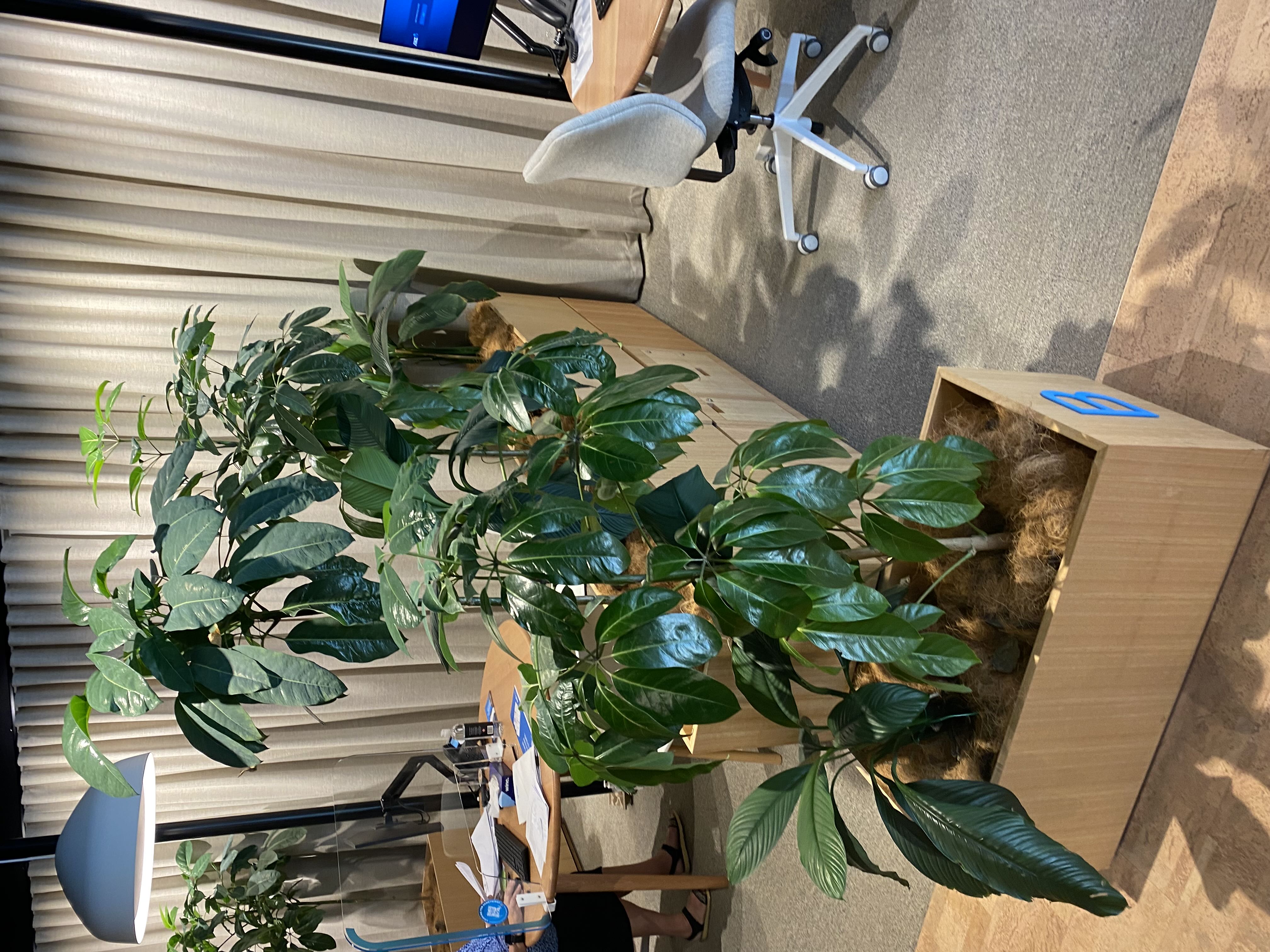 Photo from the post