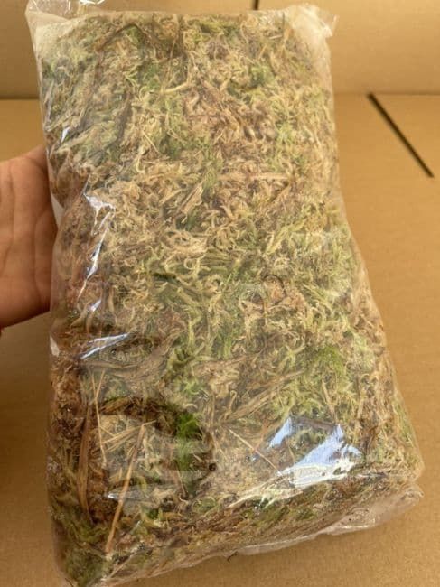 Photo from the post