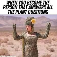 #plantmememonday So here's some memes for Plant Meme Mond...