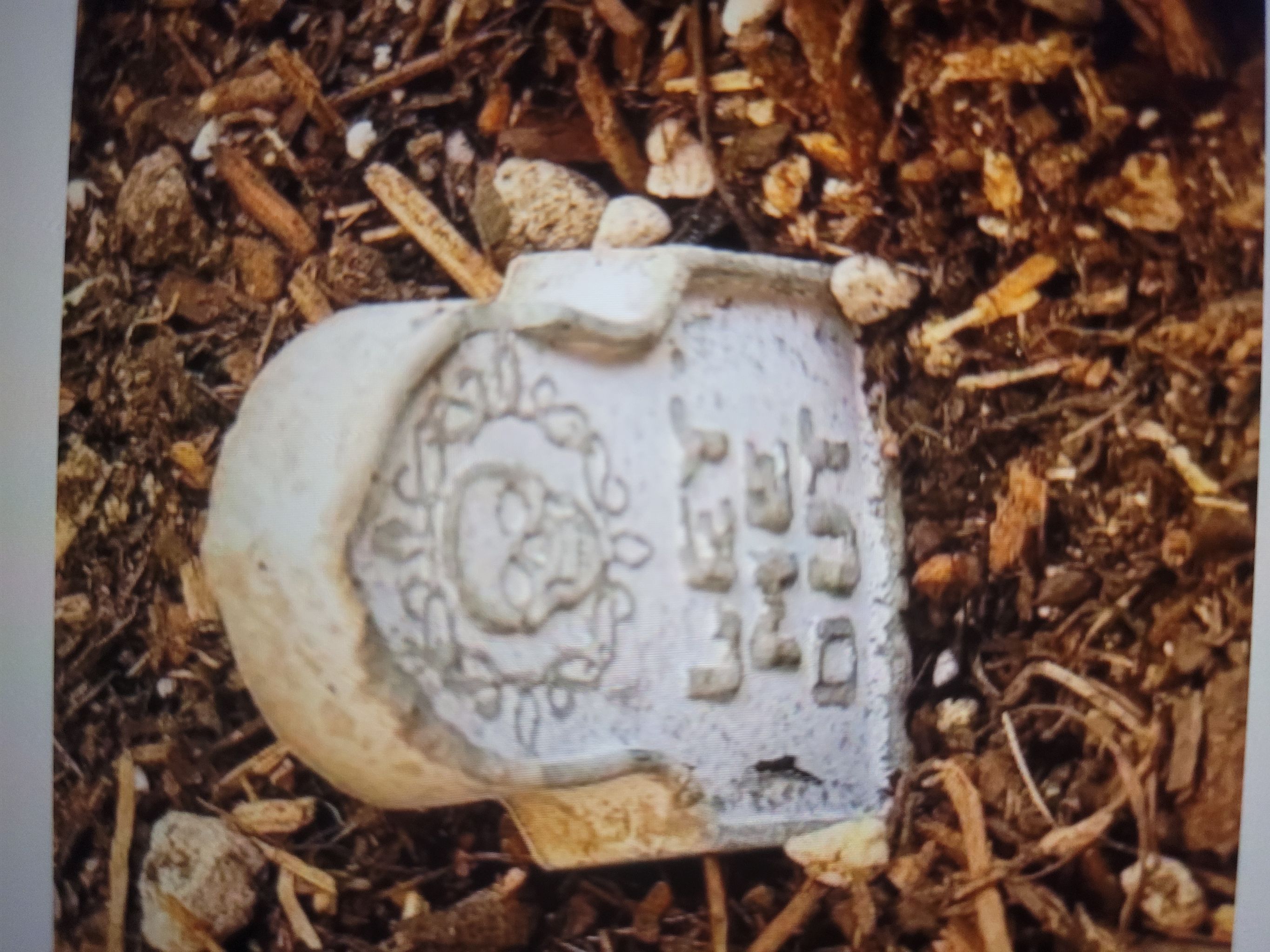 Photo from the post