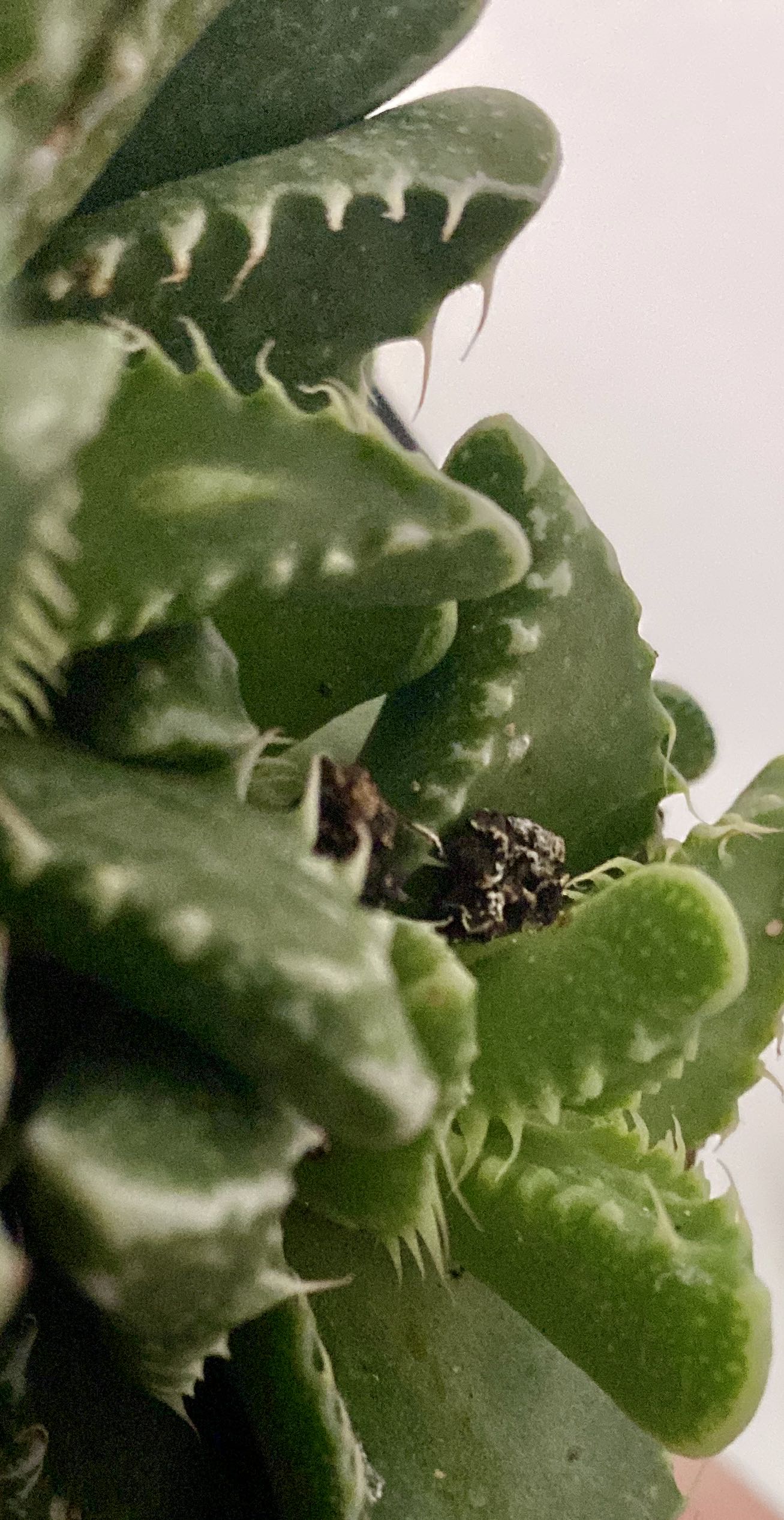Photo from the post